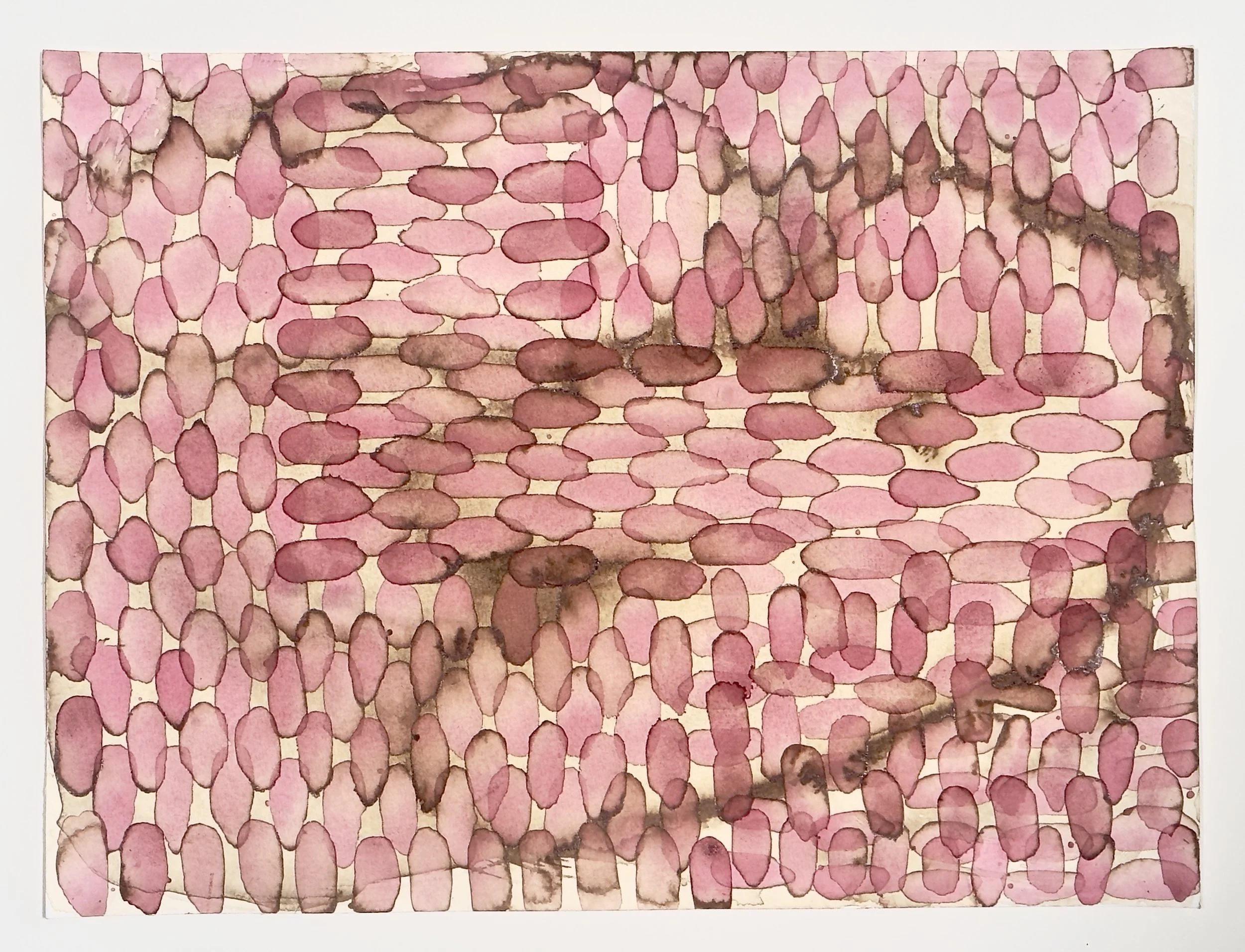 Untitled 1