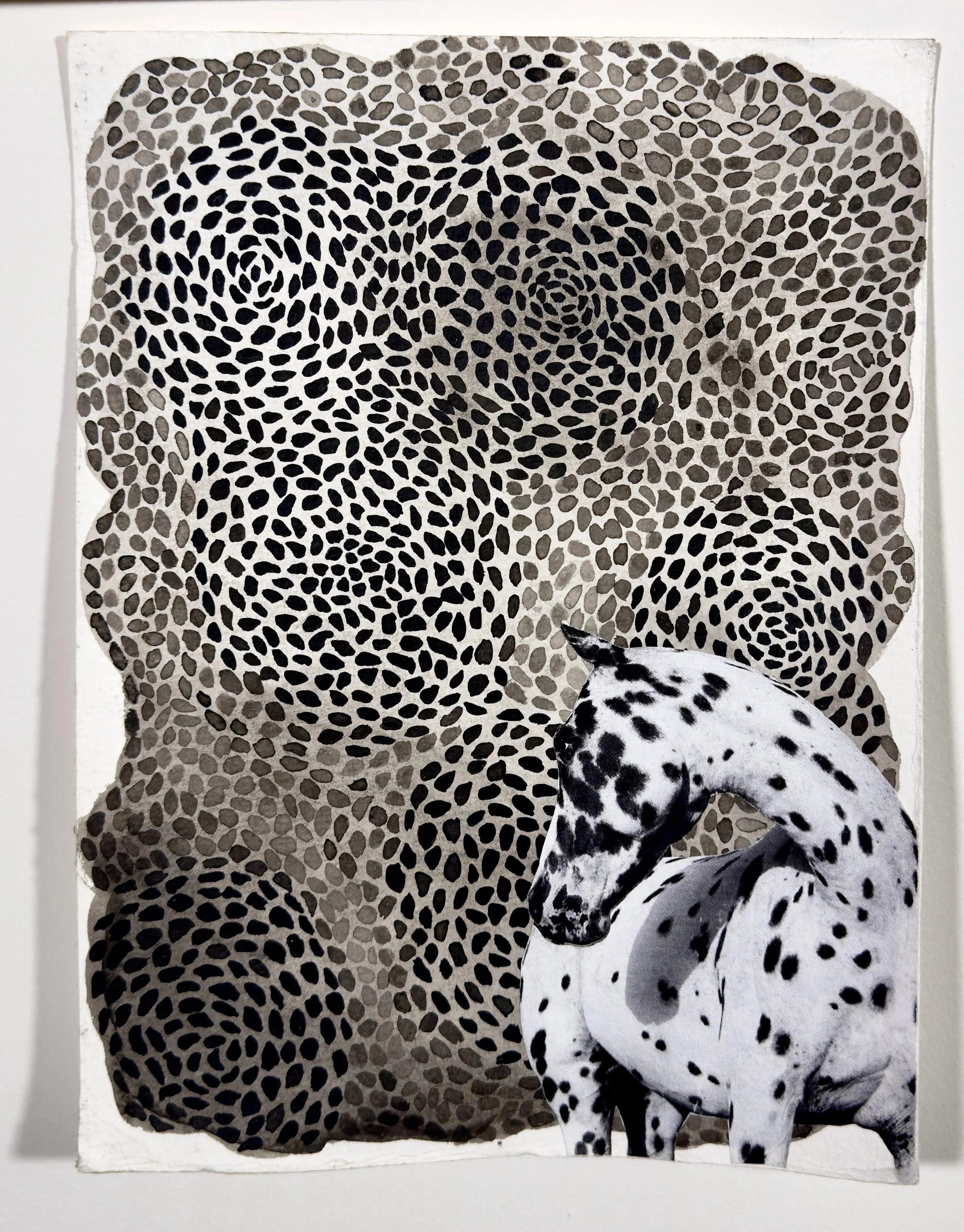 Untitled 12