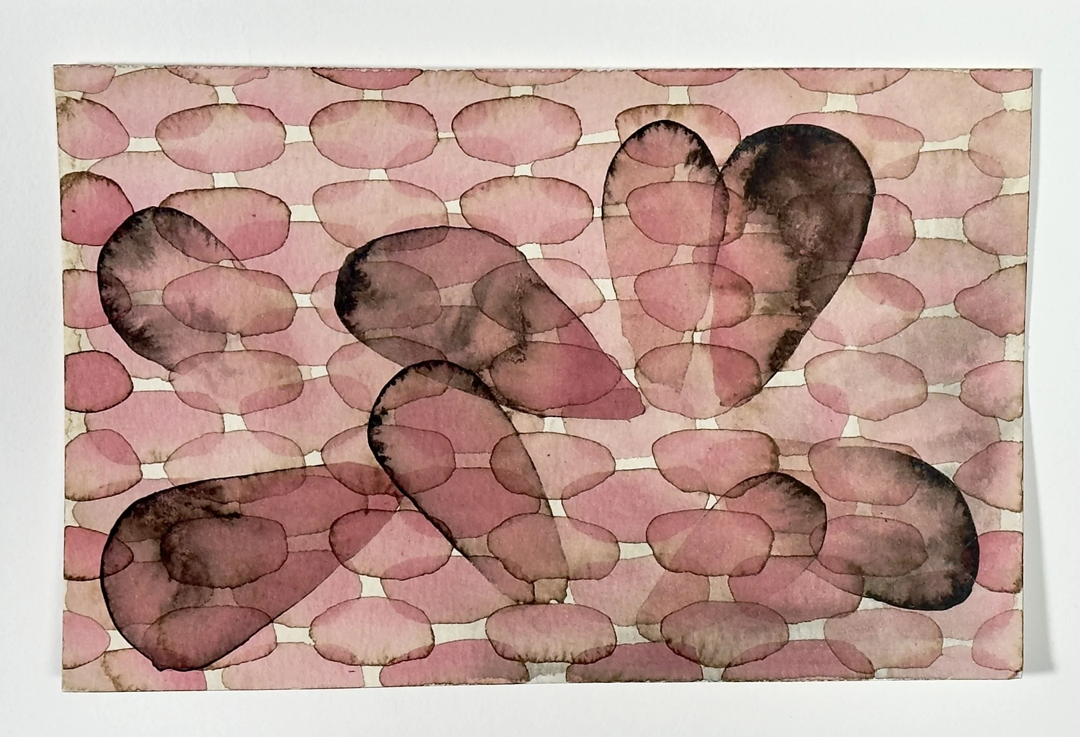 Untitled 13