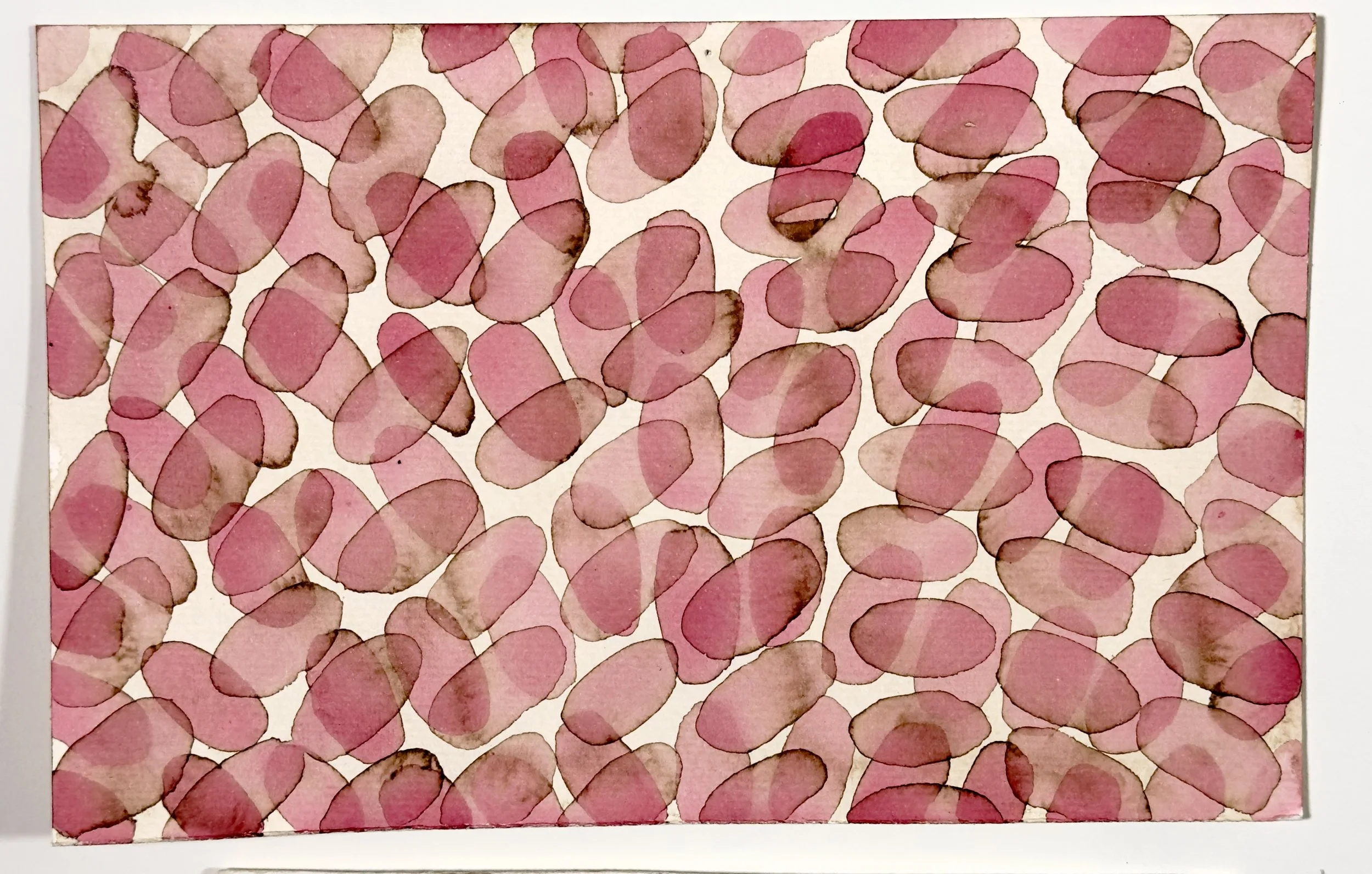 Untitled 15
