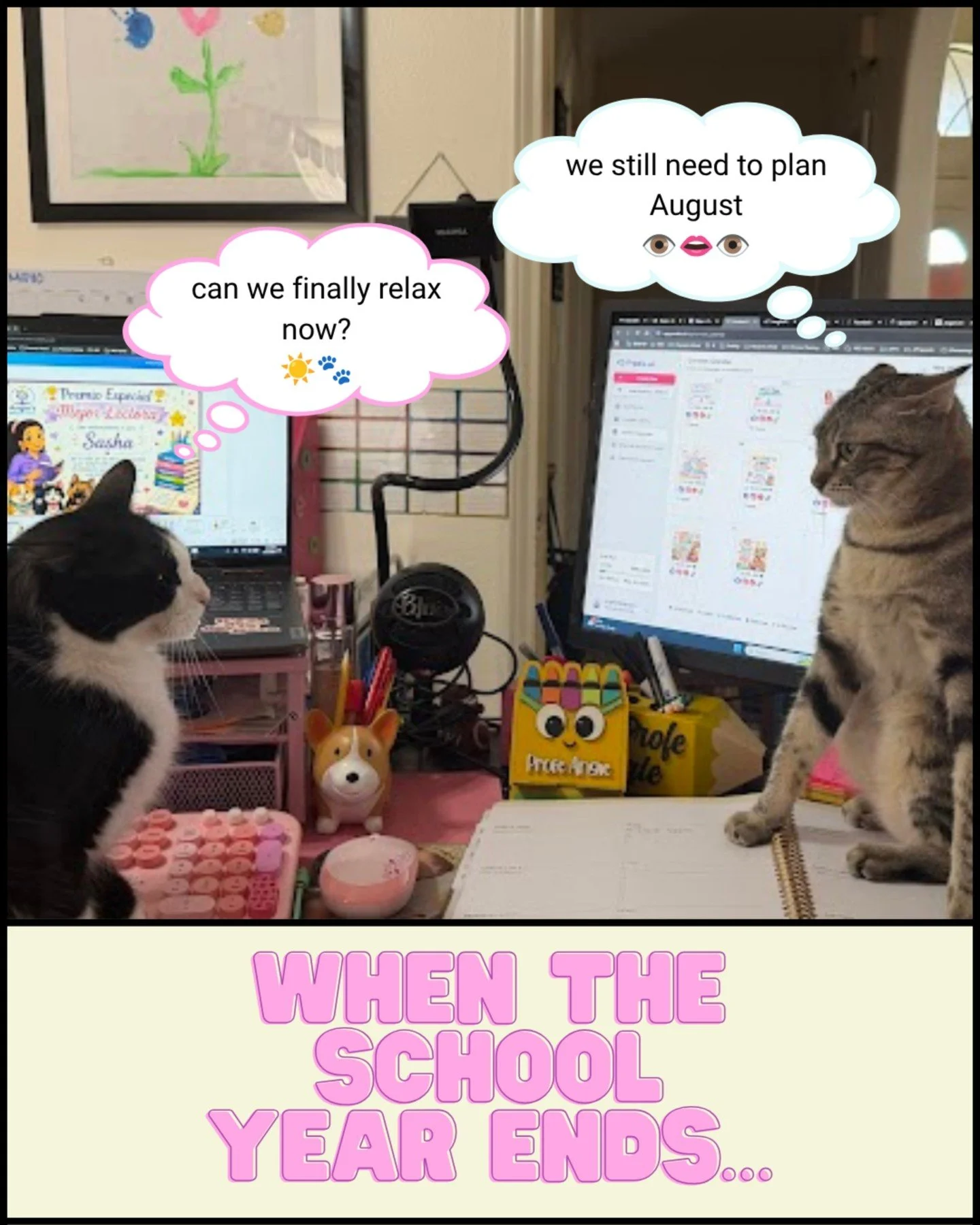 Sally thought summer break finally started&hellip; ☀️🐾
Canela already scheduled the next staff meeting 😂📈✨

#LaProfeAngie #AngiesBilingualClass #ClassPet #TeacherHumor #TeacherReels #CatMeme #TeacherLife #SummerBreak #OnlineTeacher #TeacherTikTok 