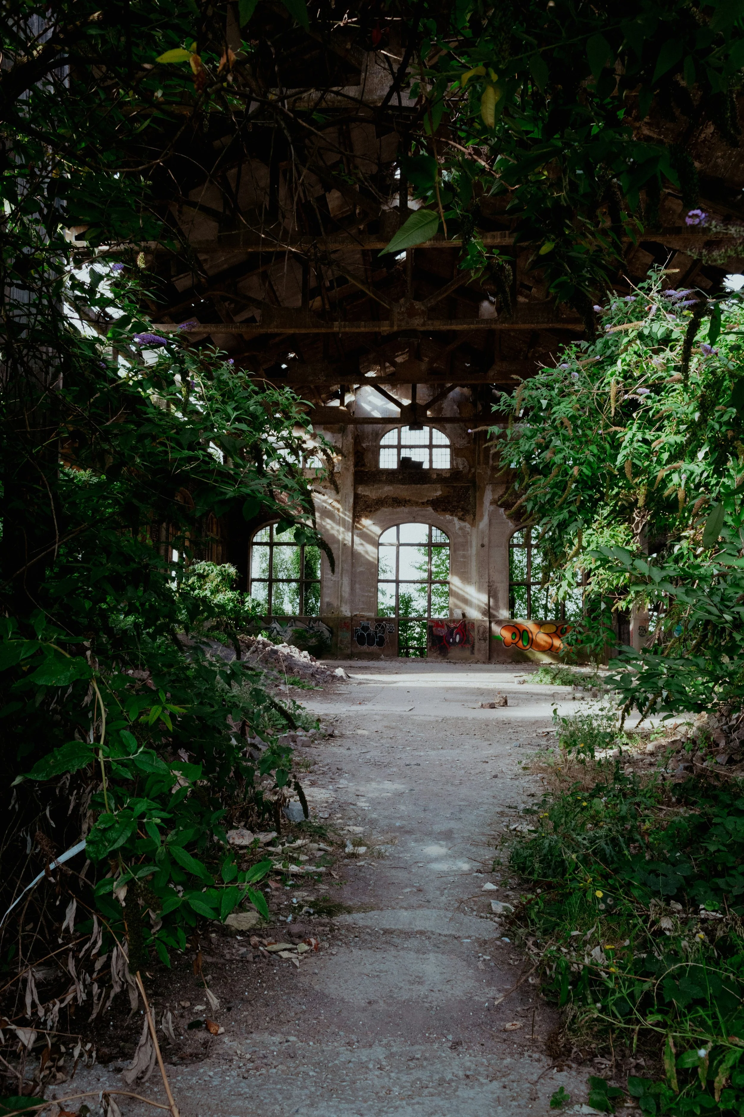 An abandoned building interior overgrown with plants, featuring large arched windows and graffiti on the walls, with sunlight streaming through.