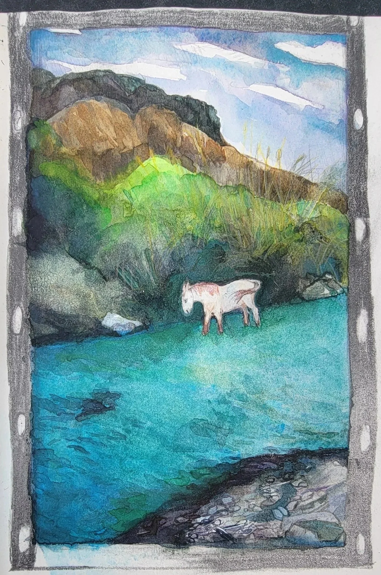 Horse in the river
