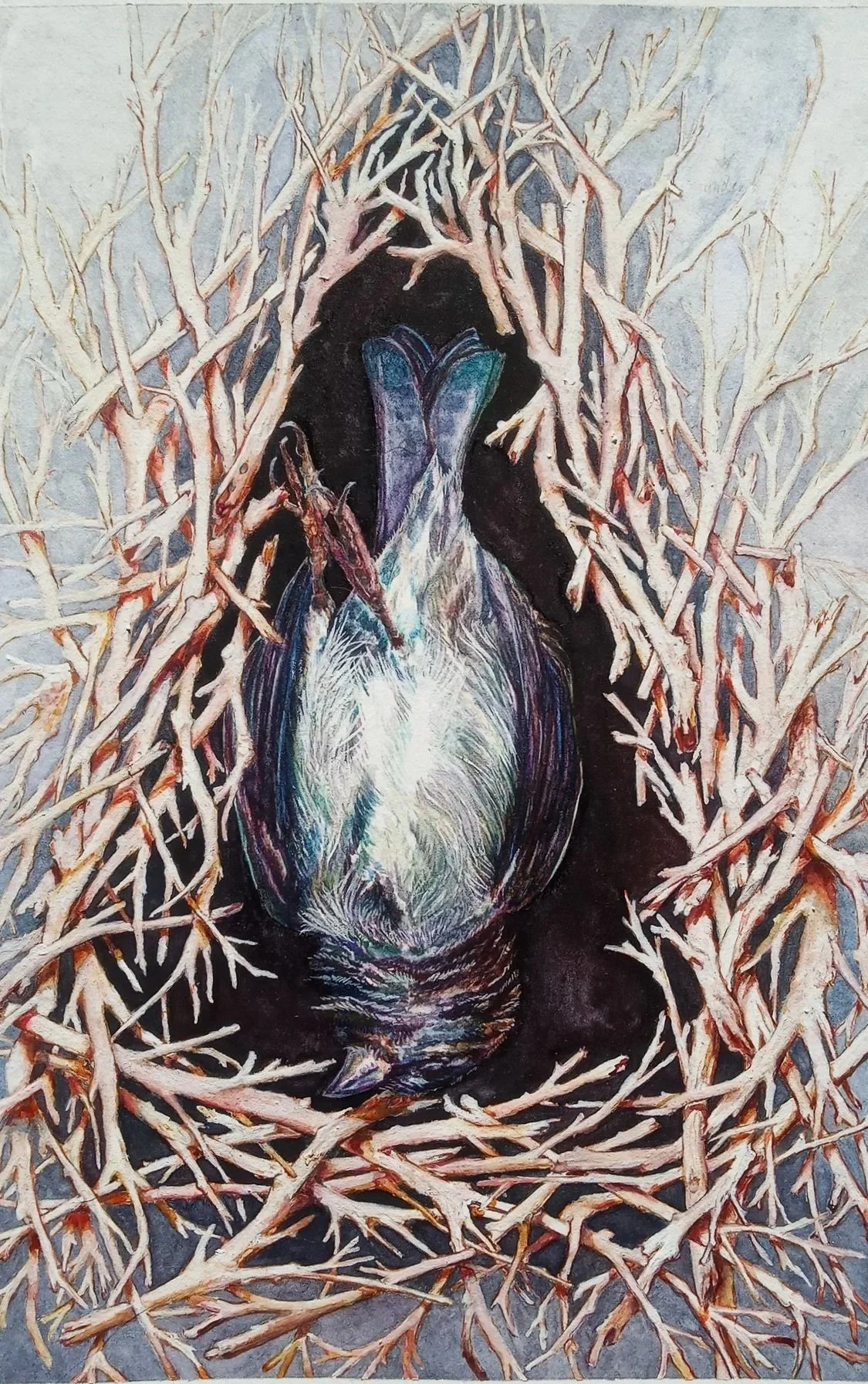Watercolor Painting of deceased sparrow in twigs.