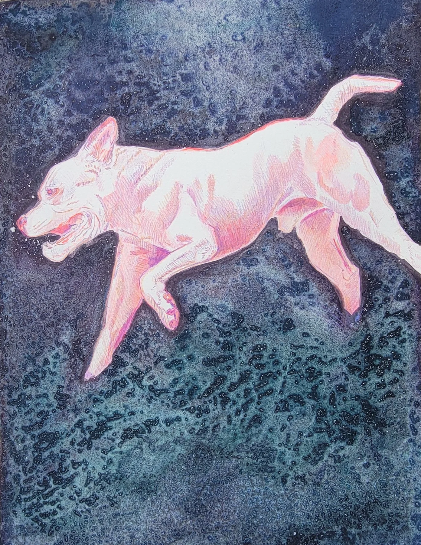 Mixed Media drawing of Pibble running in a watercolor Galaxy.
