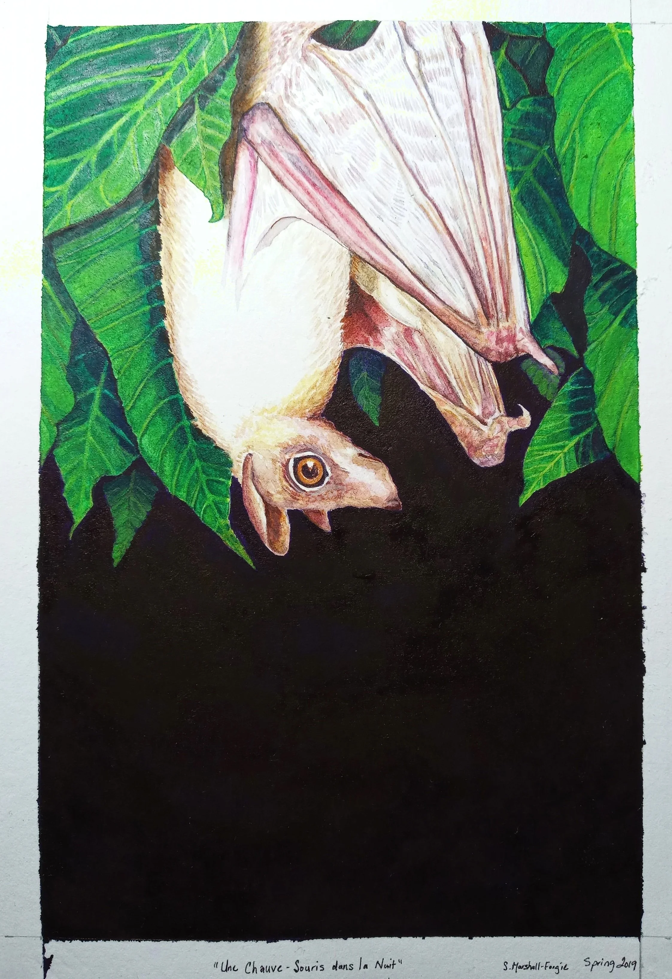 Watercolor Painting of Small Cream Color Bat in Green leaves with a Dark DARK Background.