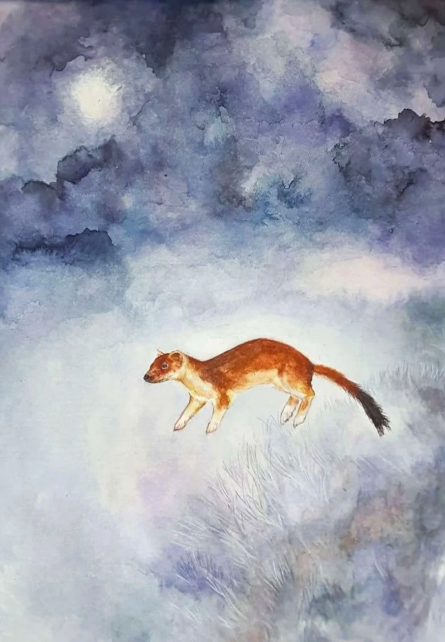 Watercolor painting of a short-tailed weasel jumping in twilight field.
