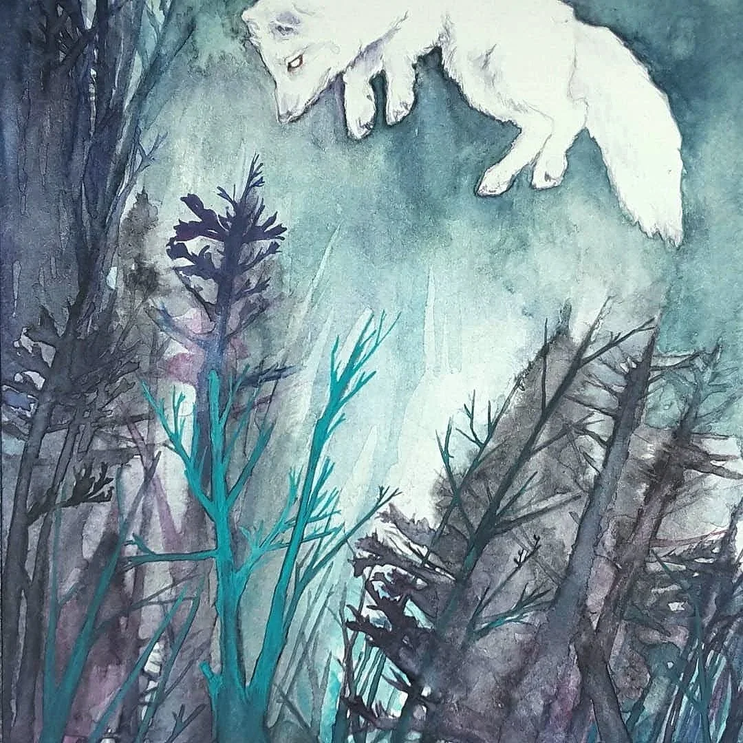 Watercolor Painting  of  white winter fox jumping against a blue teal forest background.