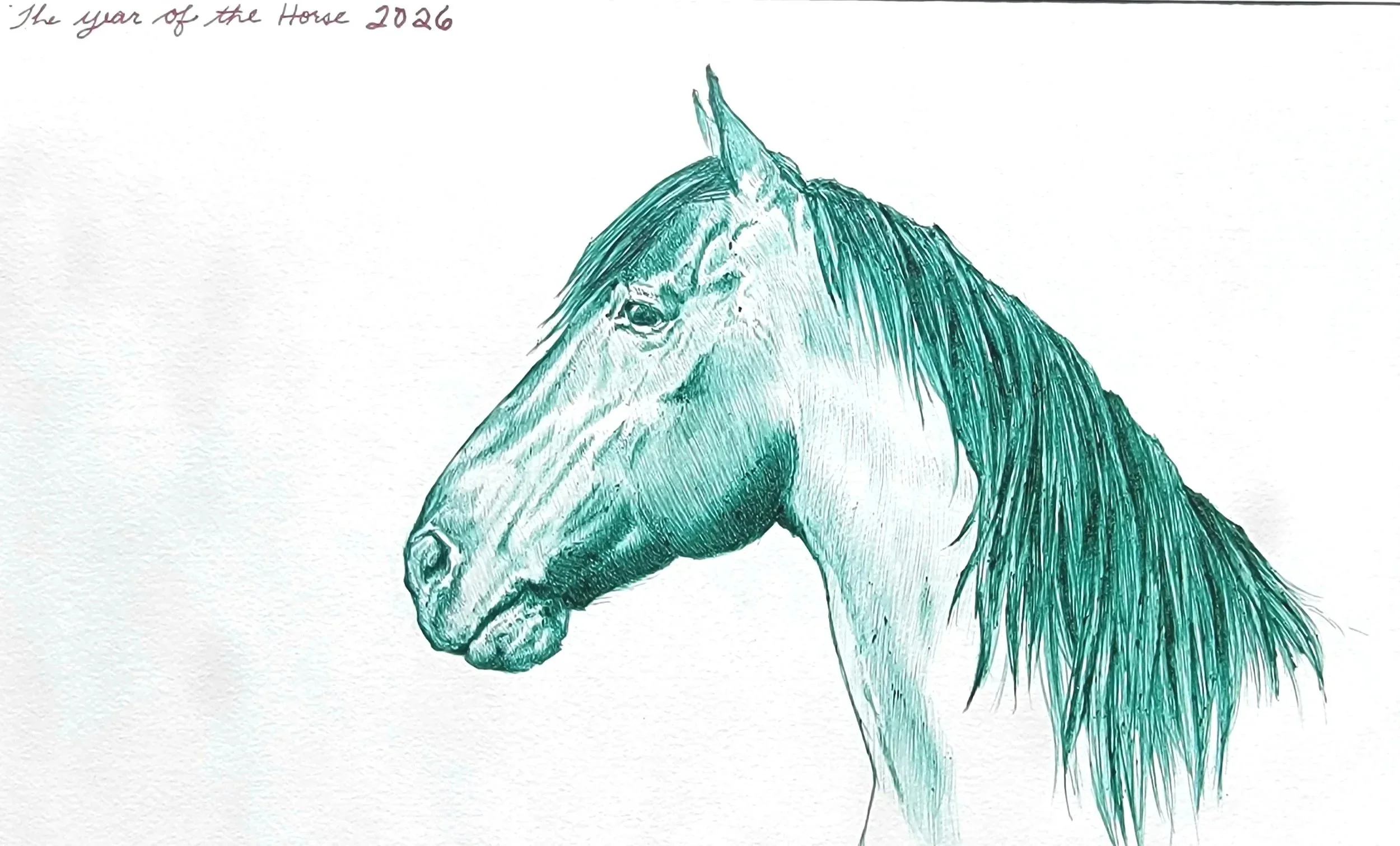 Drawing in green ball point pen of horse head.