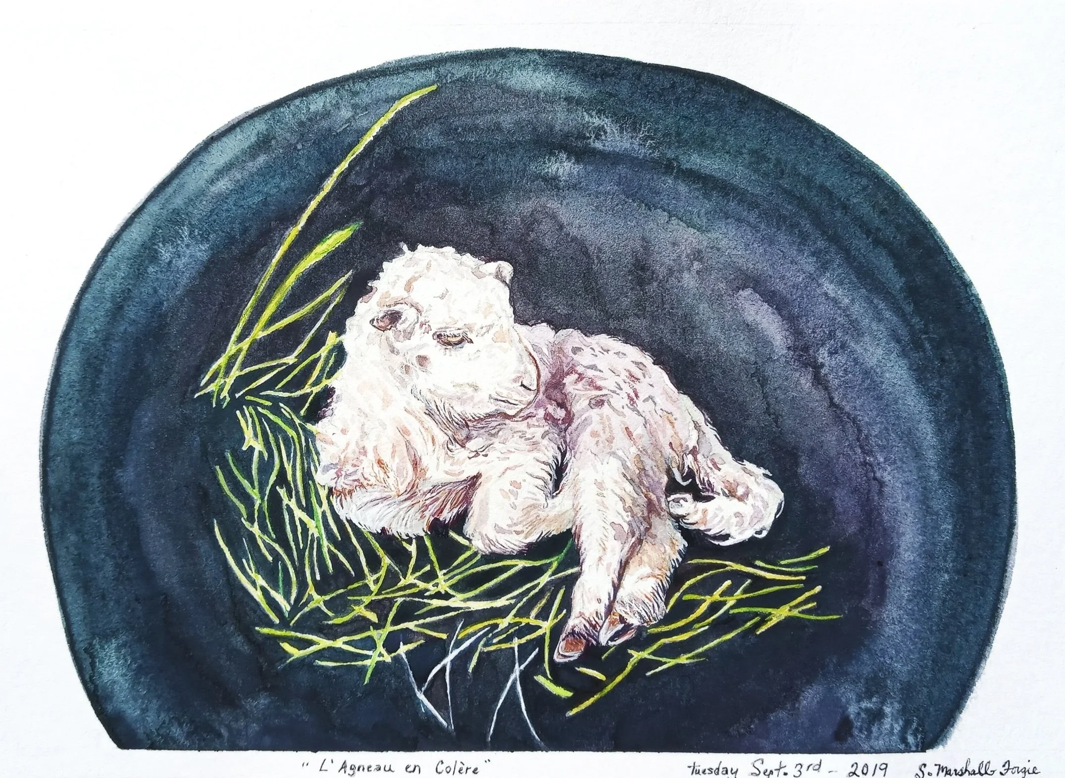Small Watercolor Painting of a lamb resting in sparce greens in a dark blue background.
