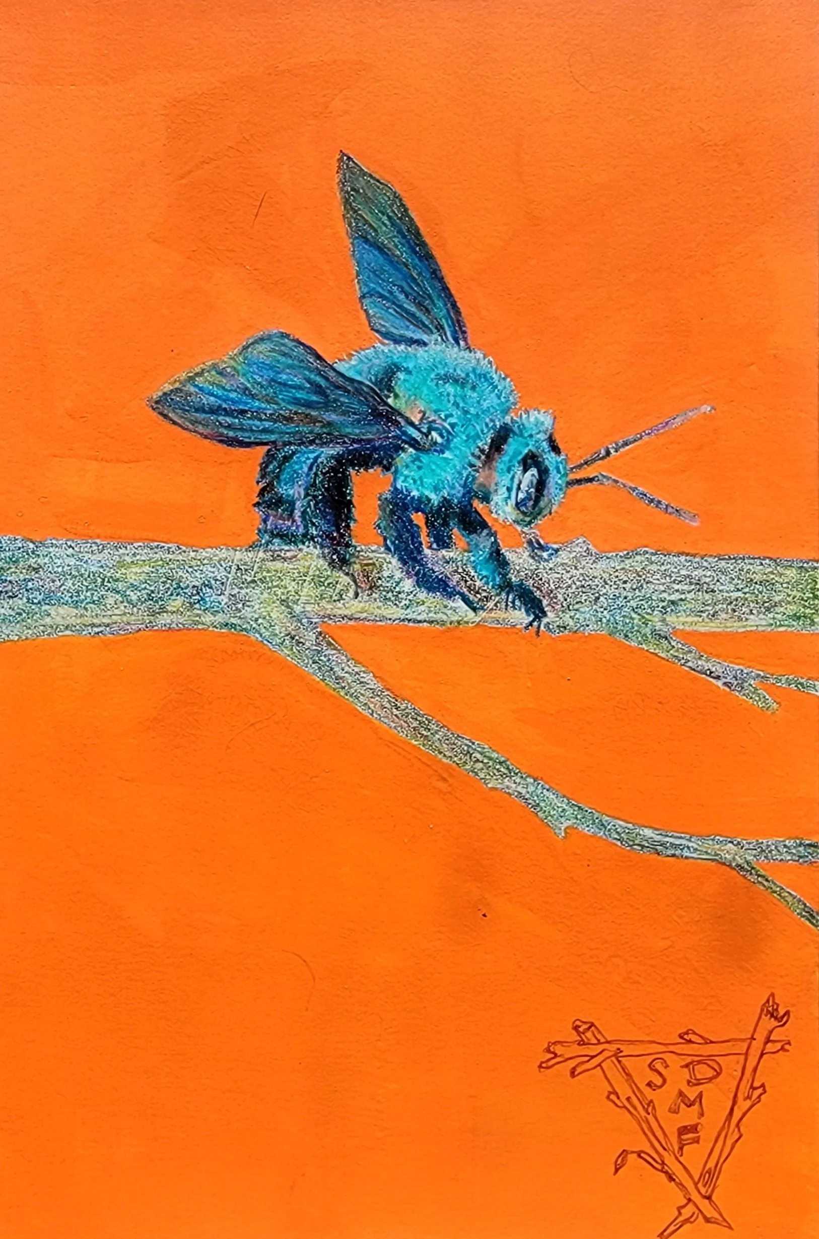 A small drawing in mixed media of a blue carpenter bubble bee with an orange background.