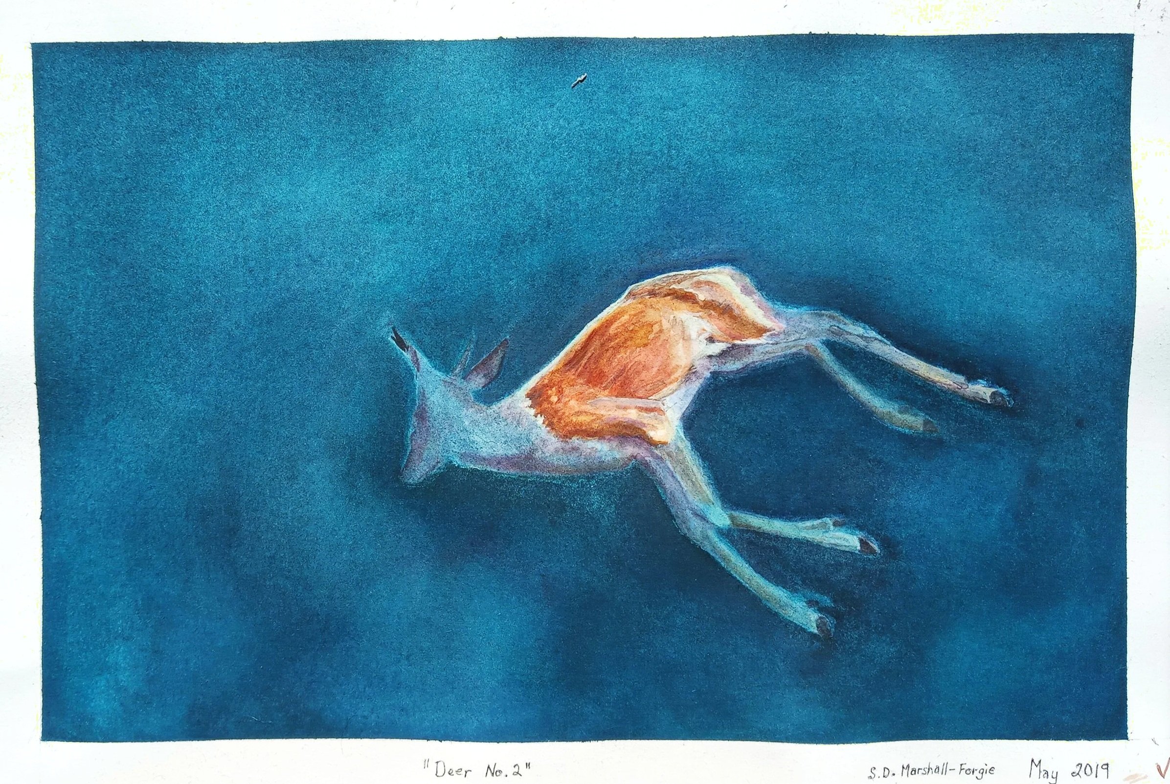 Watercolor Painting of Deceased Doe Floating in Teal Waterscape.