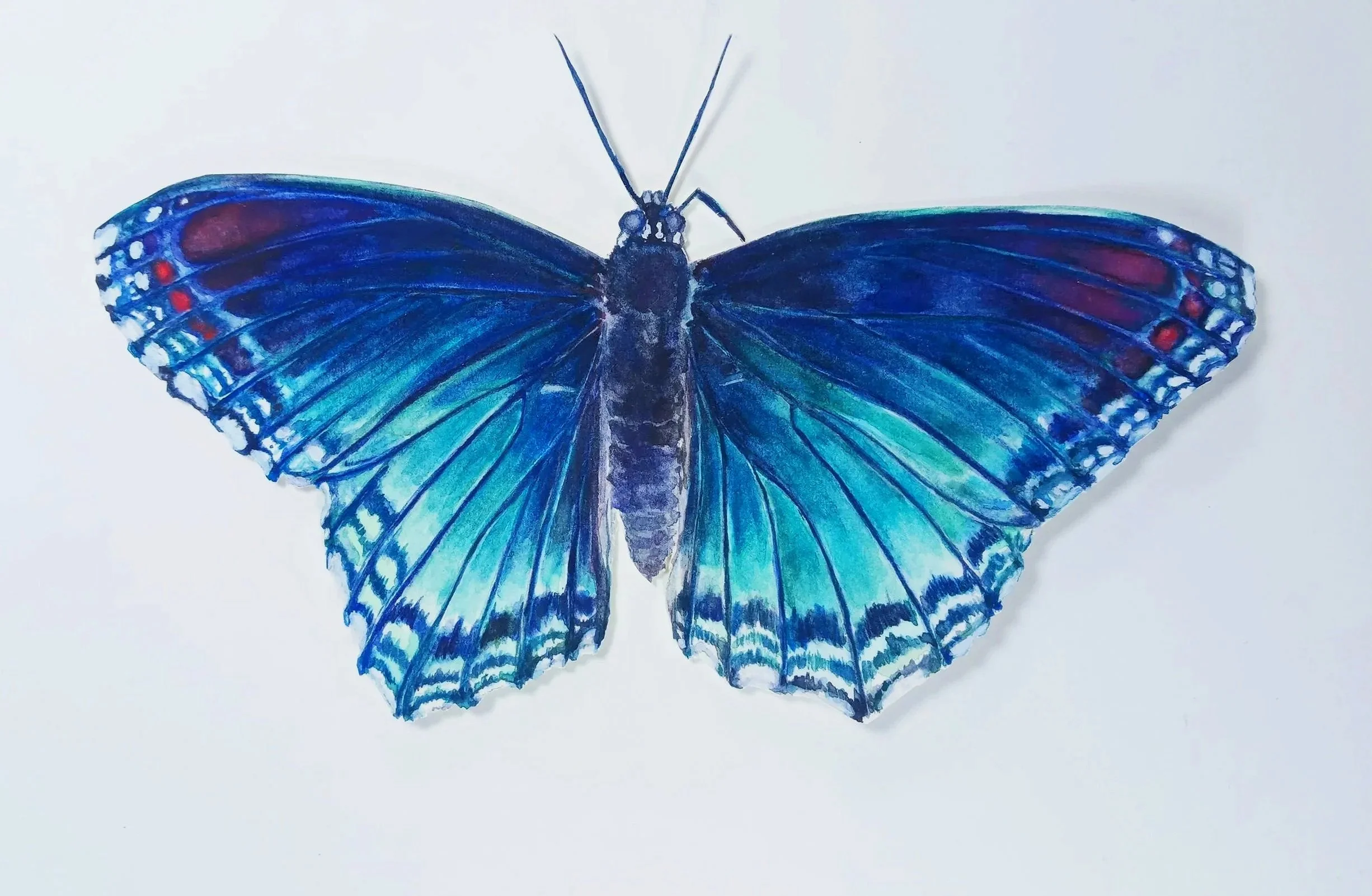 Watercolor Painting of Blue Red Spotted Butterfly.