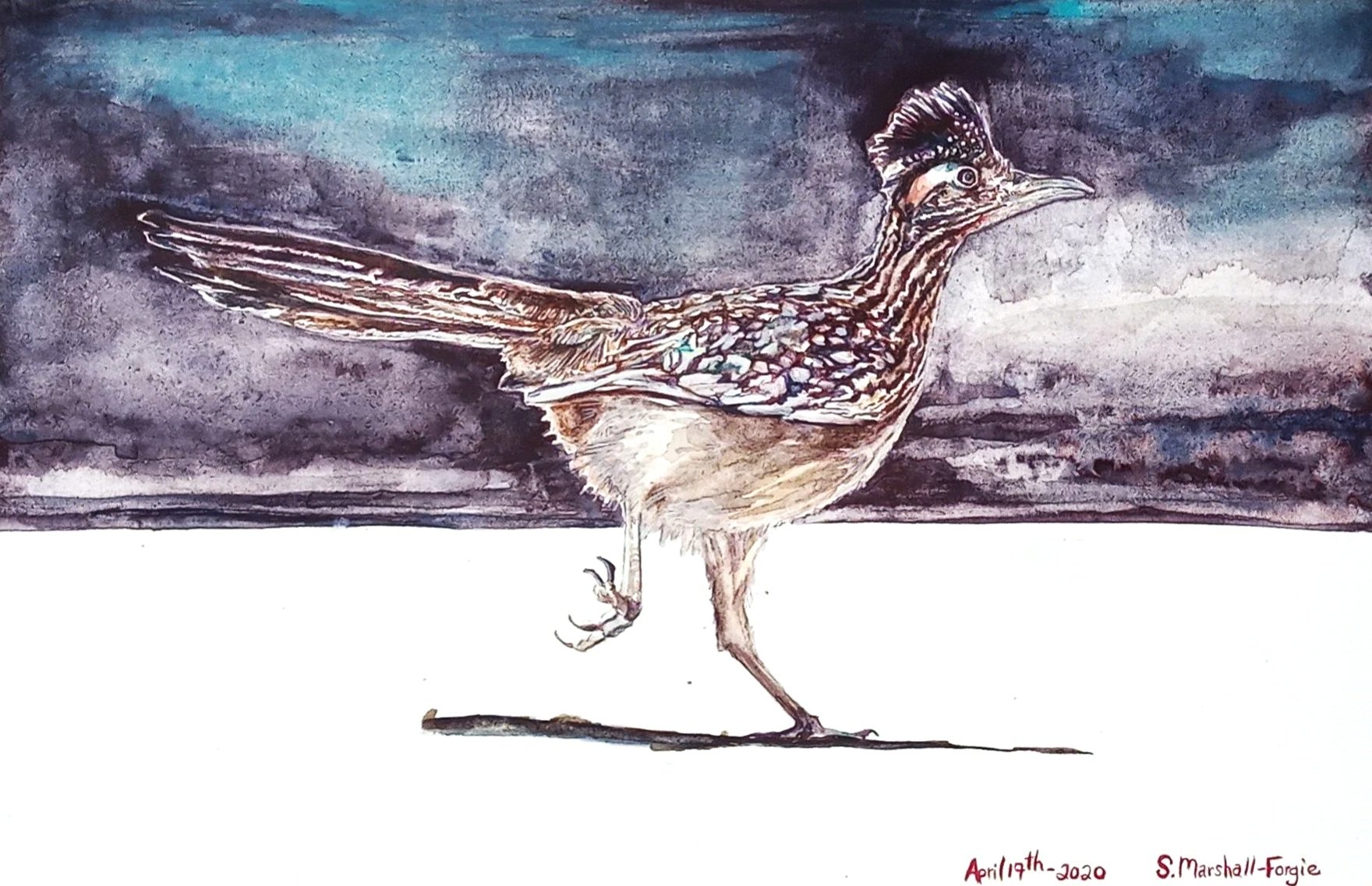 Watercolor Painting of running Road runner against a dark weather background.