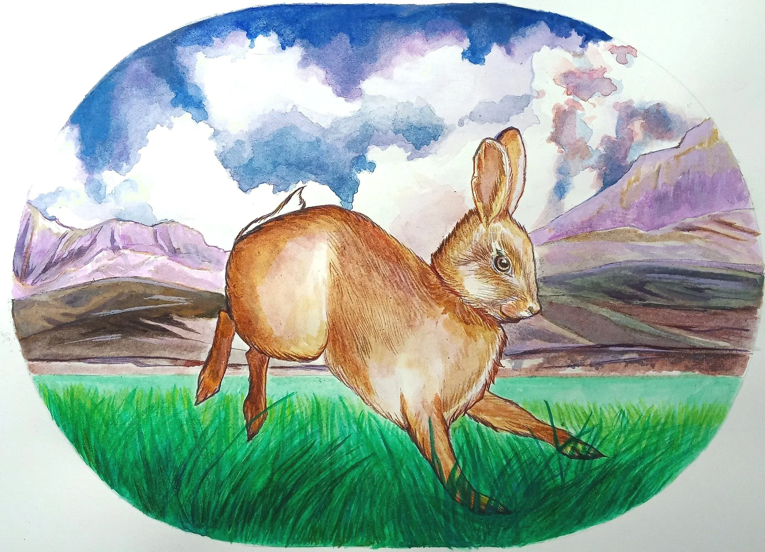 Watercolor Painting of Cottontail Rabbit in a green grasslands with mountain range and cloudscape.