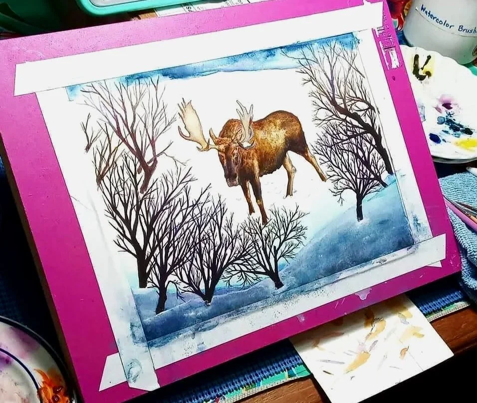 Watercolor Painting of Moose in snowscape and small shrubbs.