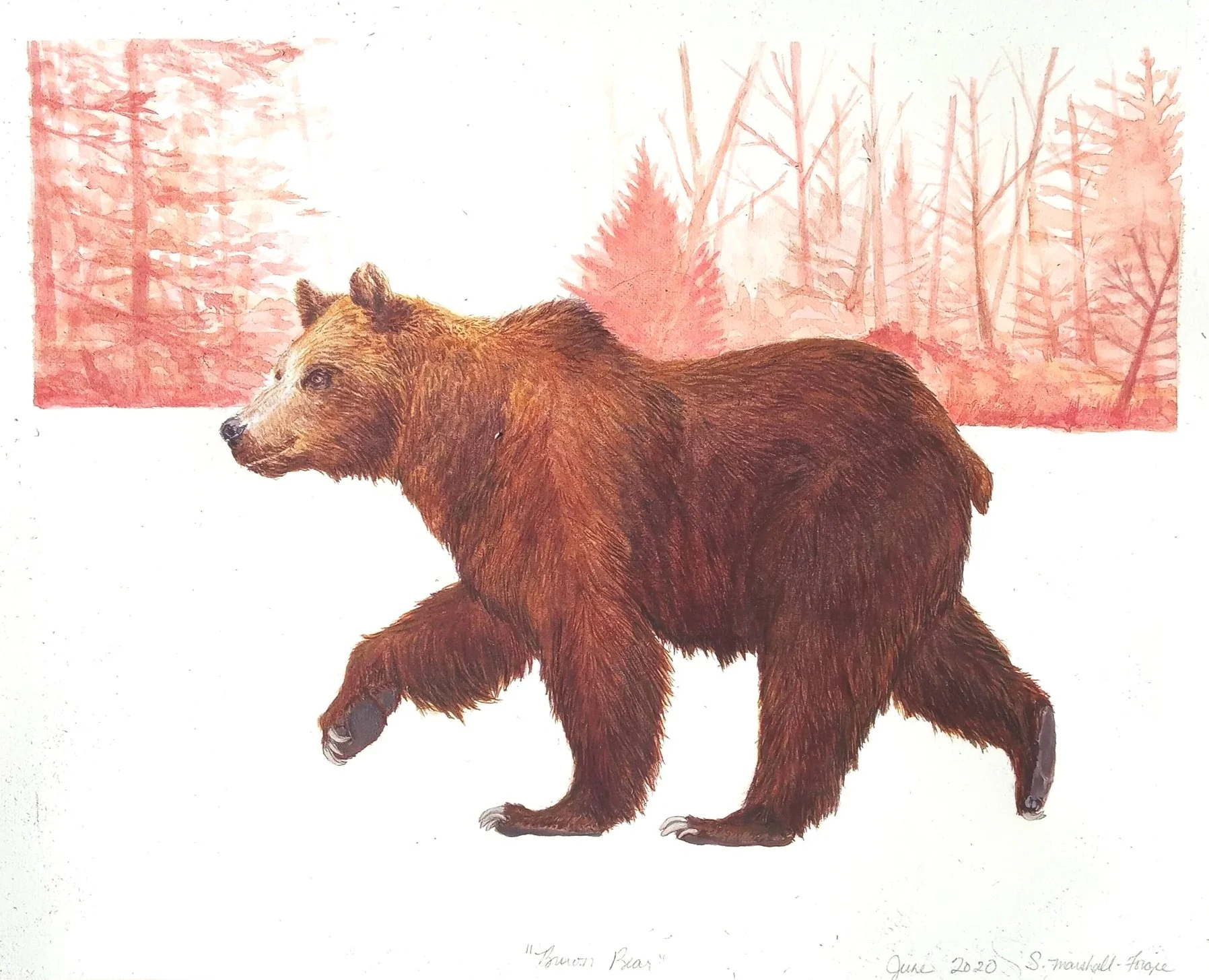 Watercolor Painting of a promenading brown beat with a dusty pink forest.