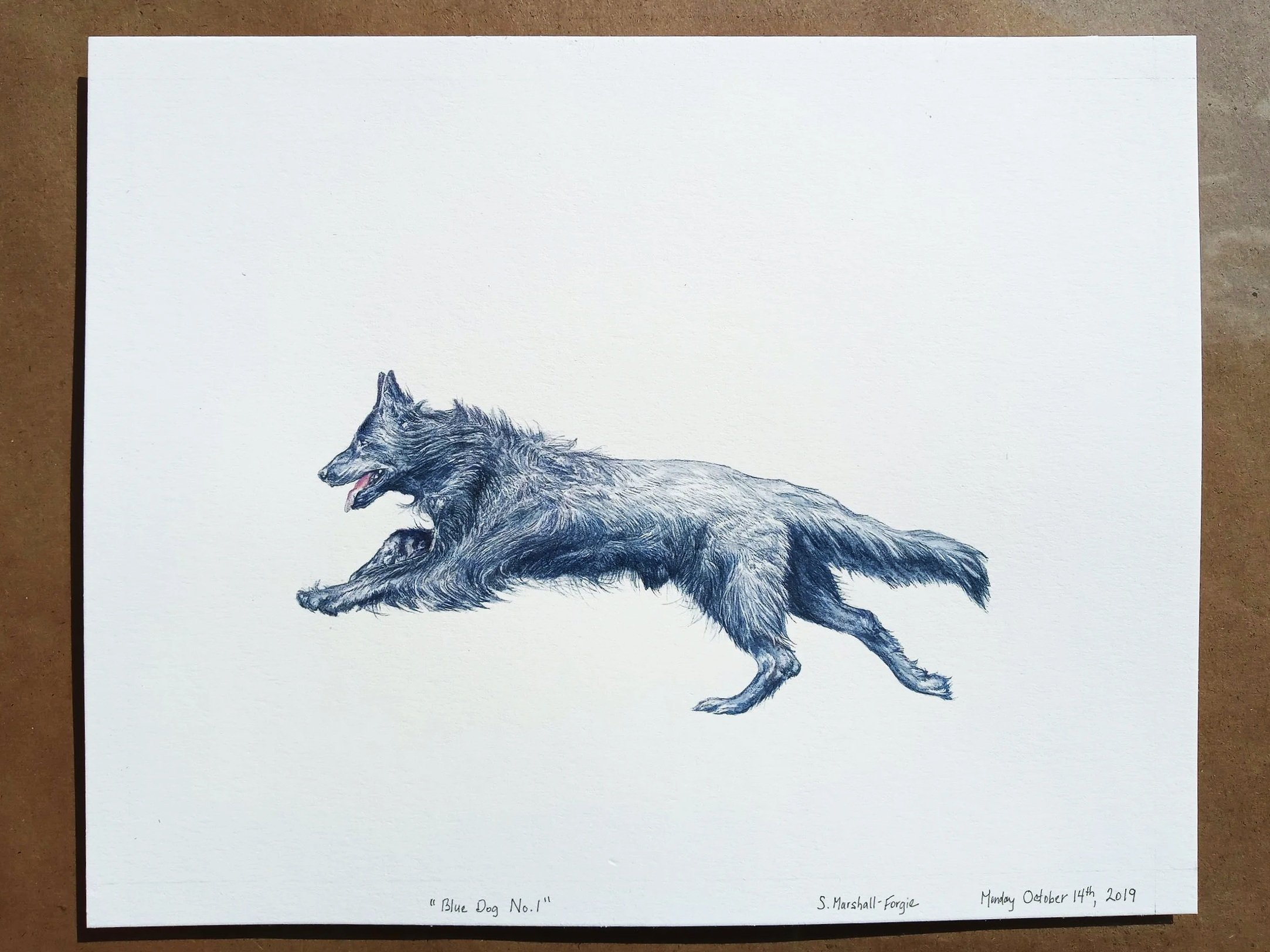 Watercolor painting of a blue running shepherd dog against a white background.