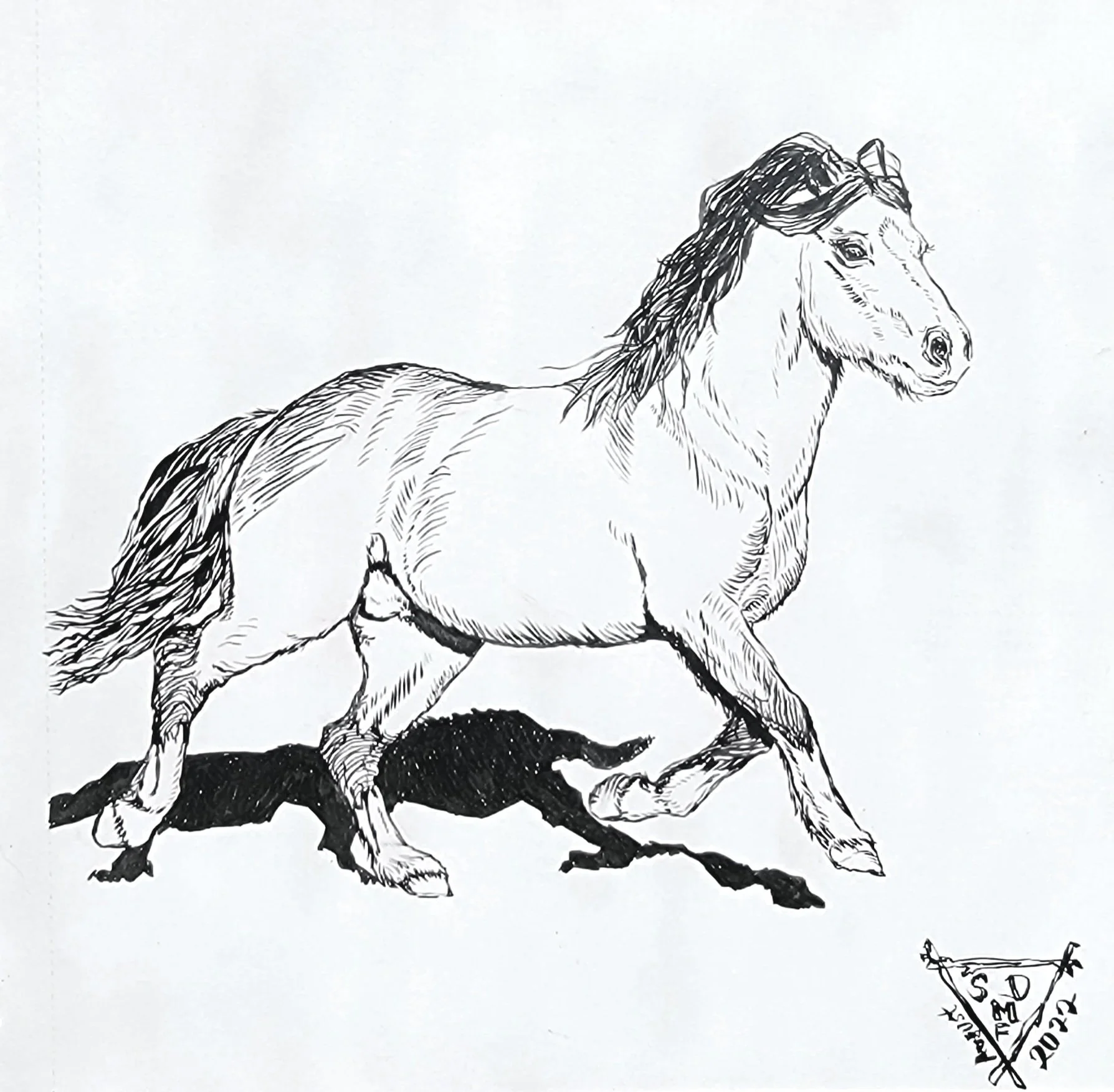 Ink drawing of a trotting pony.