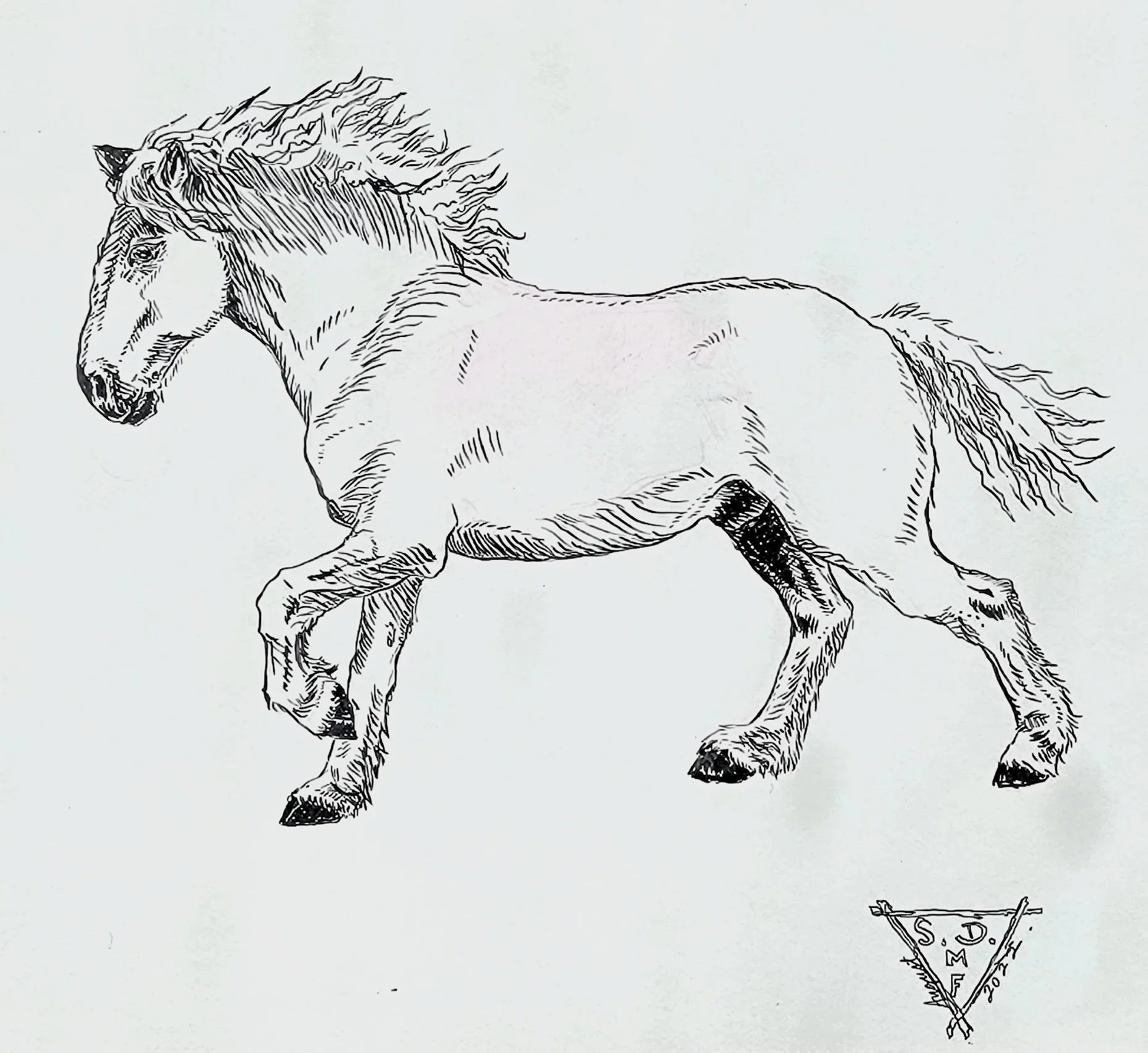 Ink drawing of a Mixed Draft Horse in slow canter.