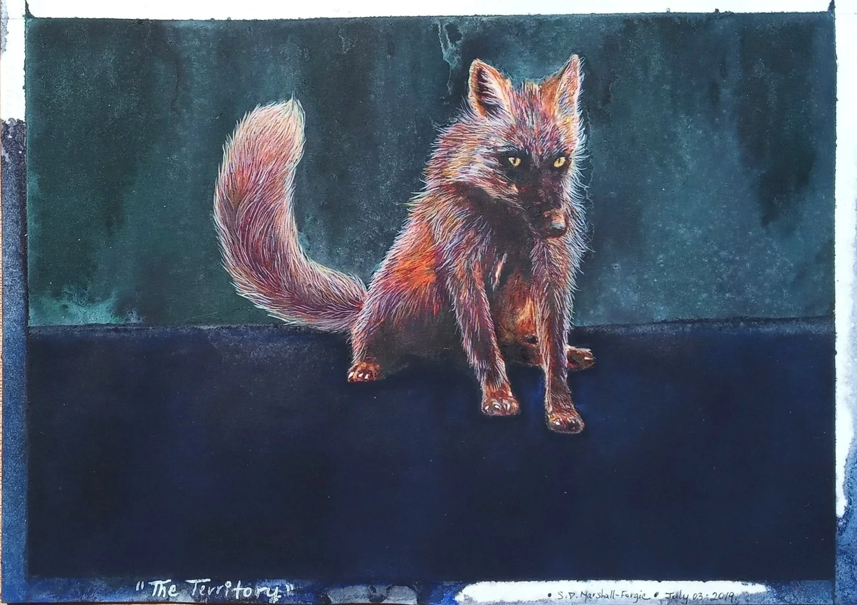 Watercolor Painting: Red dark faced sitting fox with 2 toned teal and navy blue granulated background.