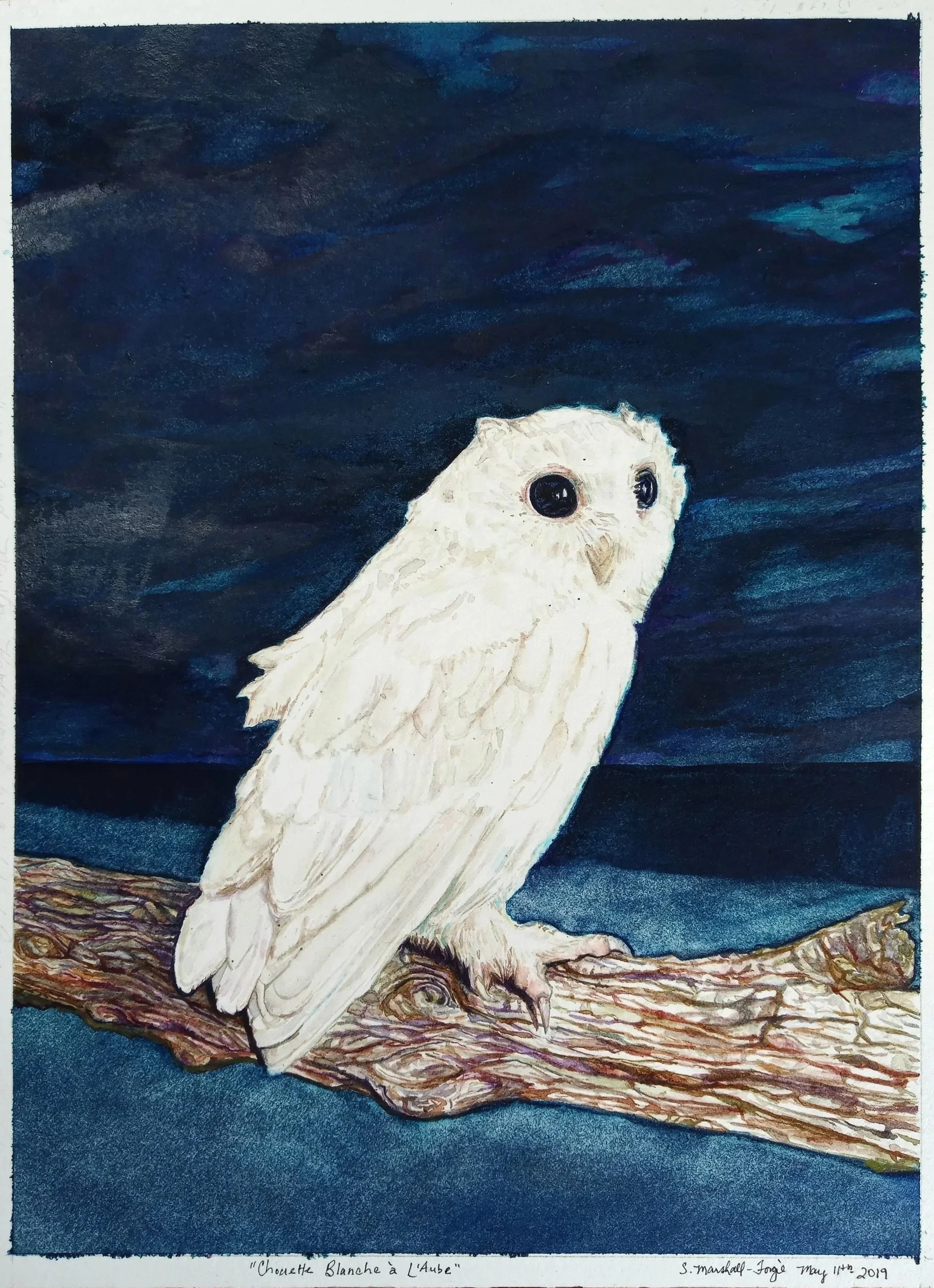 Watercolor Painting of A White Small Owl on leafless branch on a Dark Cranky Midnight Blue Landscape.
