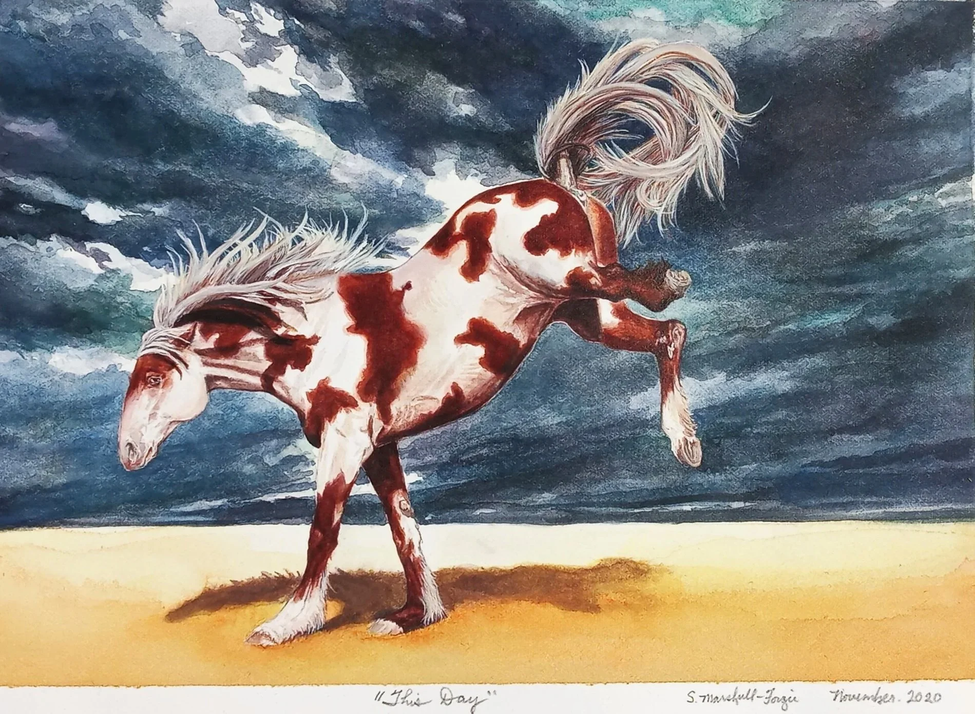 Watercolor Study of Piebald Mustang.
