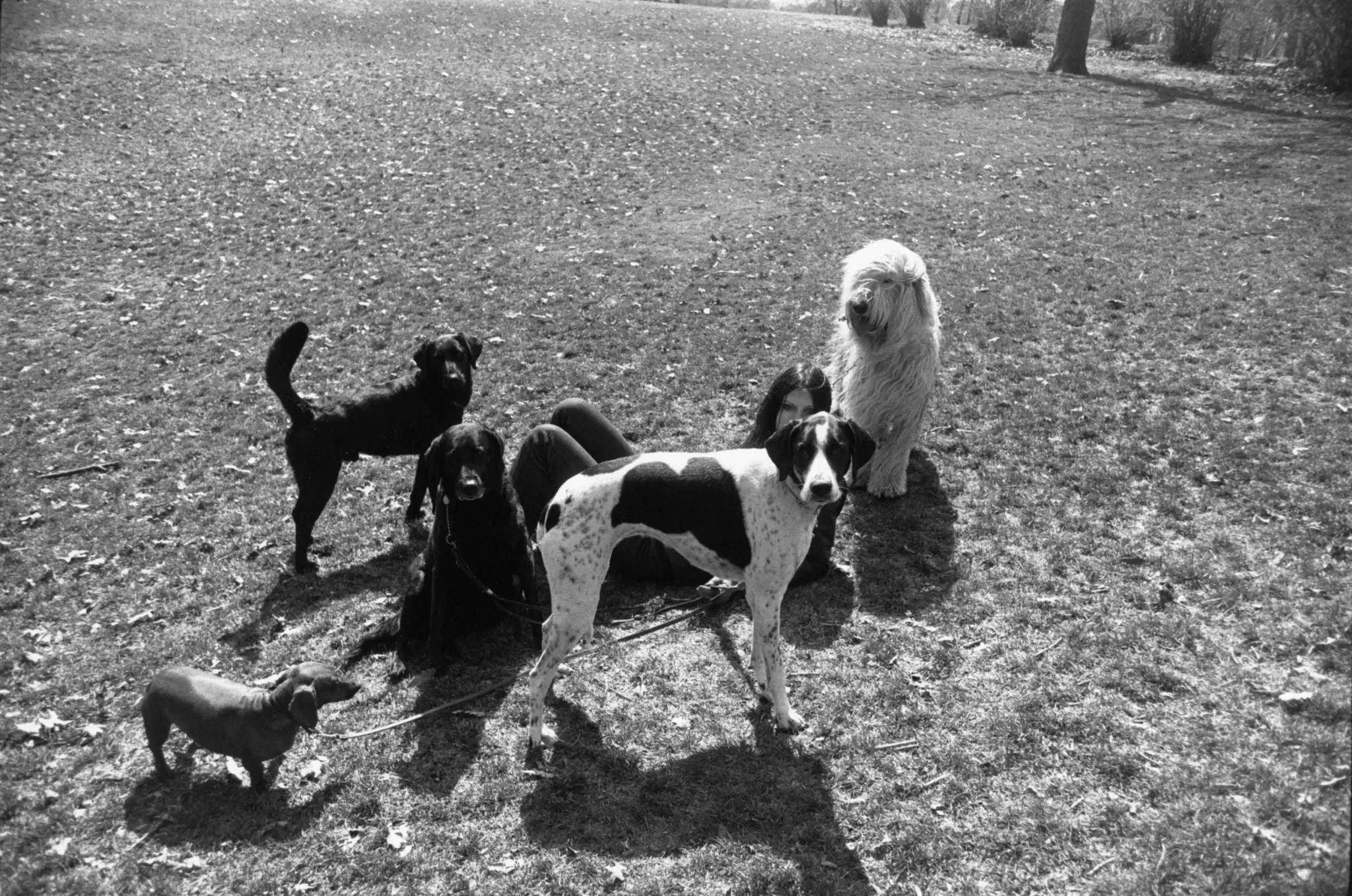 Garry Winogrand