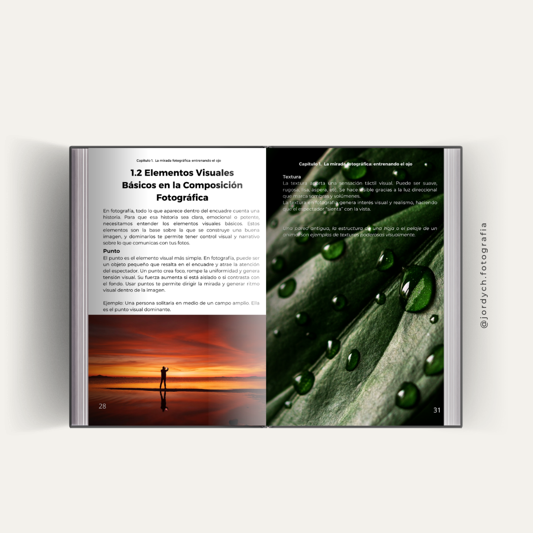 Domina la composición fotográfica y aprende a leer imágenes como un profesional. Una guía práctica para transformar tu mirada y mejorar tus fotos.