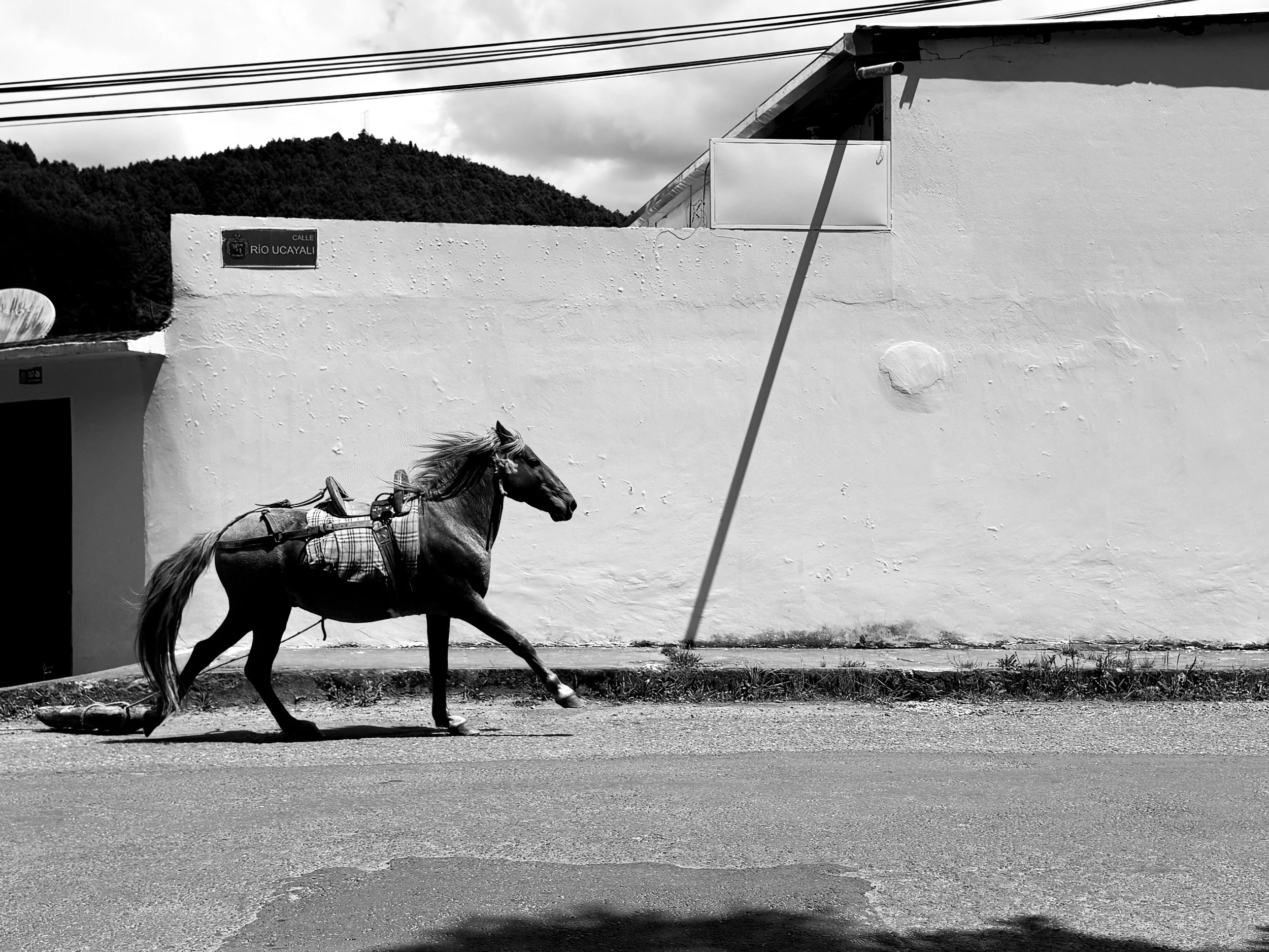 Jordy Chuquimarca. Loja, Ecuador. 2026