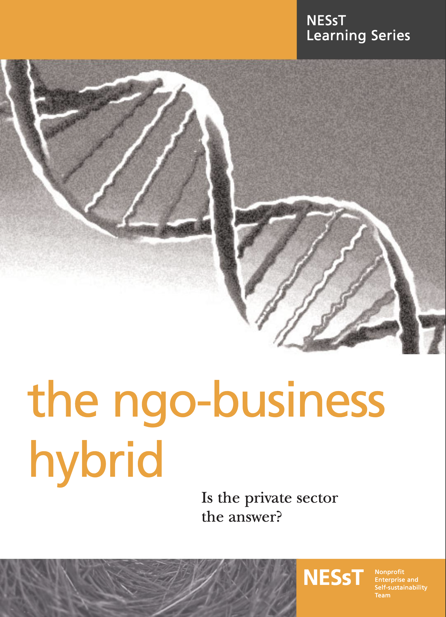 The NGO-Business Hybrid