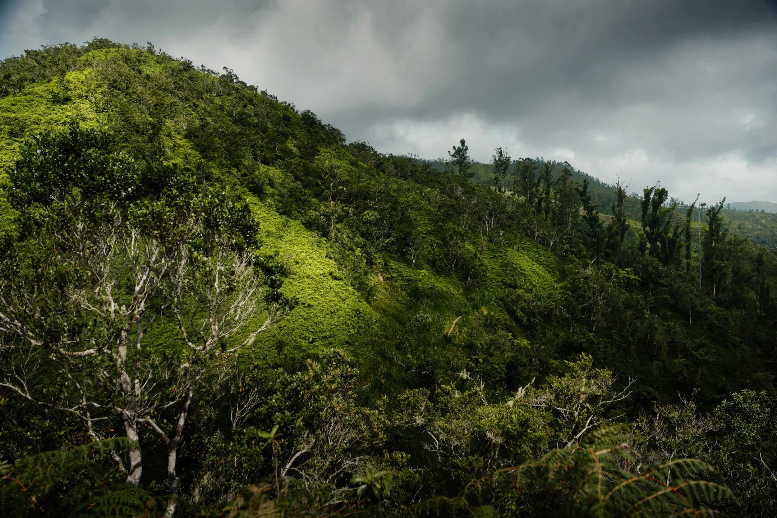 Not every frame gets planned. This one happened between setups on a client shoot up in the Blue Mountains &mdash; the kind of light I wouldn&rsquo;t normally chase, but it was too strange and too beautiful to ignore. That shaft cutting through the ri
