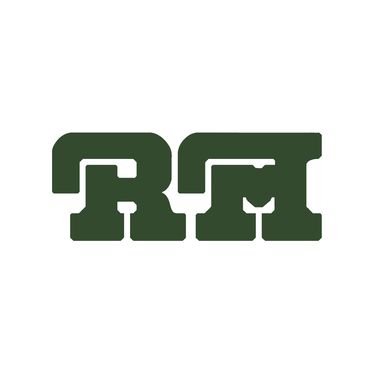 Ruta Maya Media Buying and Strategy Report Project