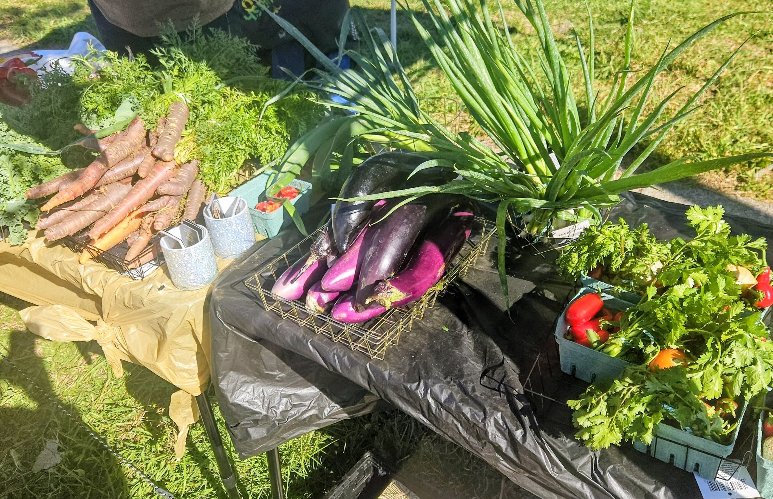 Fresh carrots with green tops, eggplants, red bell peppers, and cilantro on a table at an outdoor market.
