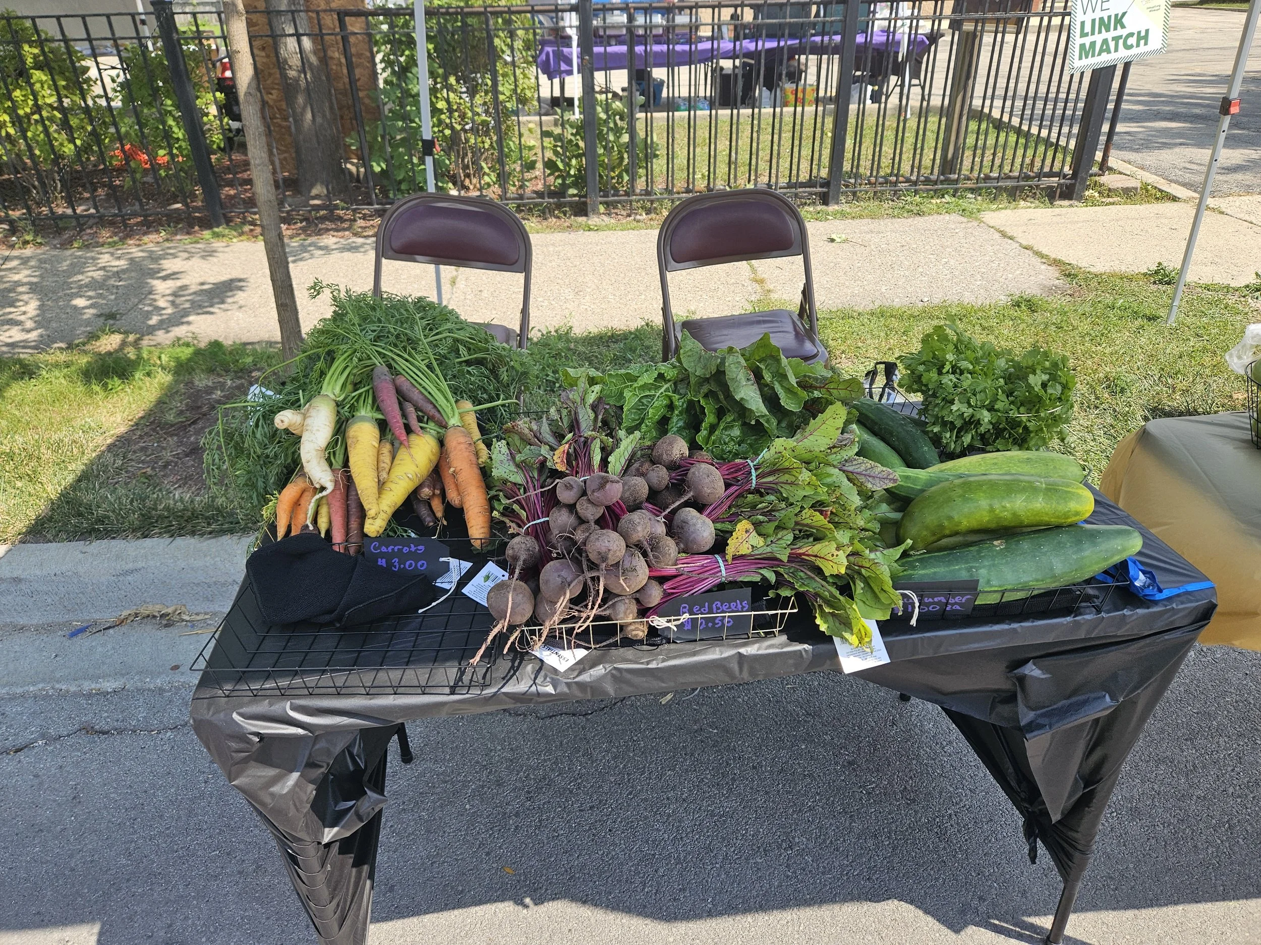 A table of fresh vegetables at an outdoor market, including carrots, beets, cucumbers, and leafy greens. Two maroon chairs are behind the table, and a sign indicates the price of carrots as $3.00 and beets as $2.50. The background features a sidewalk, a fence, and a street.