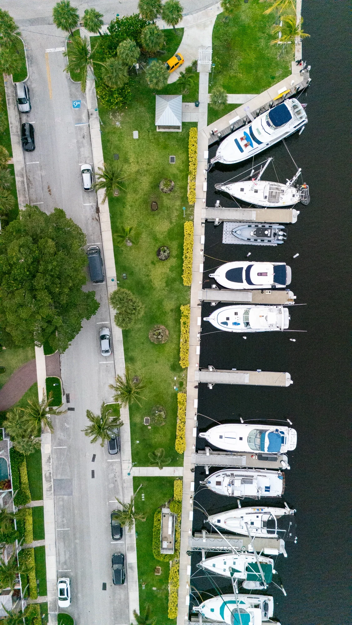 An aerial view of a marina with multiple boats docked in water on the right, a green park with palm trees and walking paths in the center, and a street with parked cars and additional trees on the left.