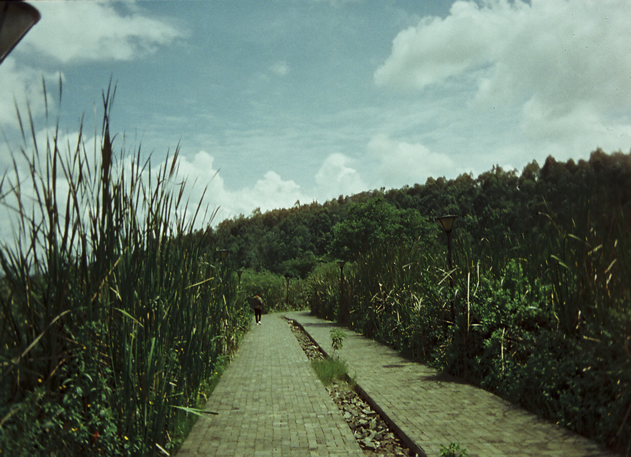 ToriiKarch009452-R1-E039.png