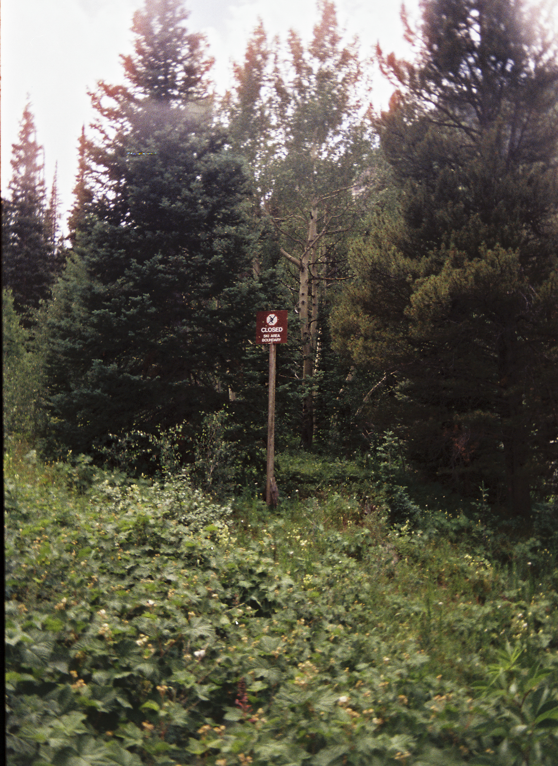 torikarch004737-R1-E021-2.png