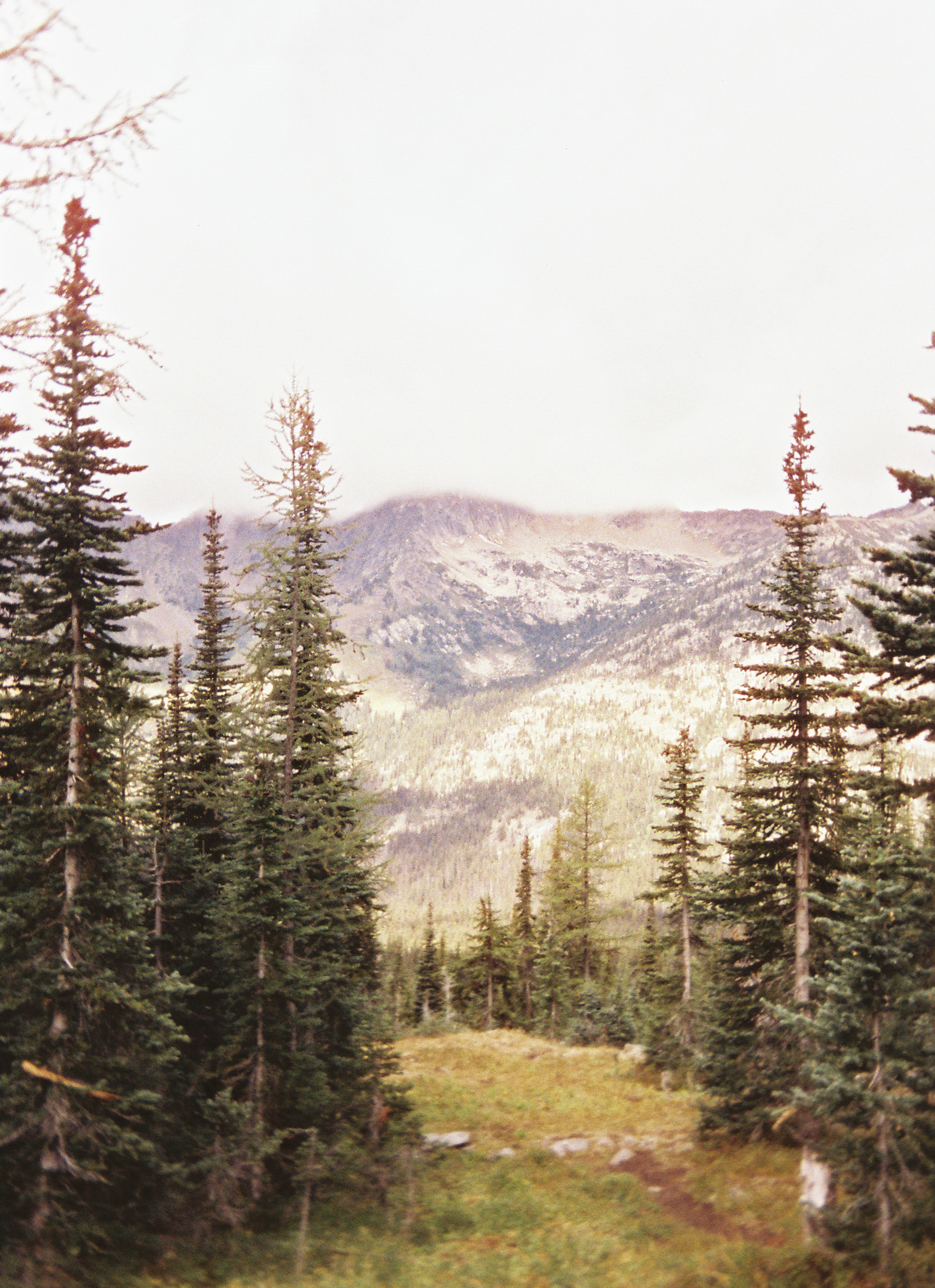 torikarch004737-R1-E008-2.png
