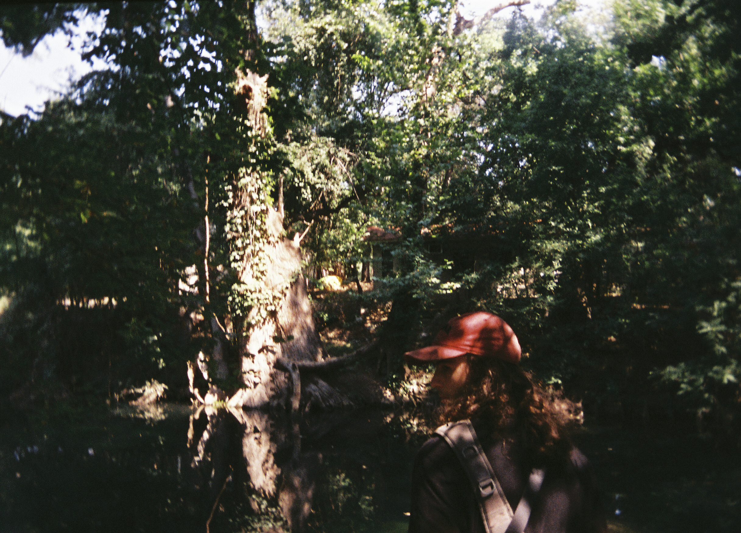 torikarch004737-R1-E016.png
