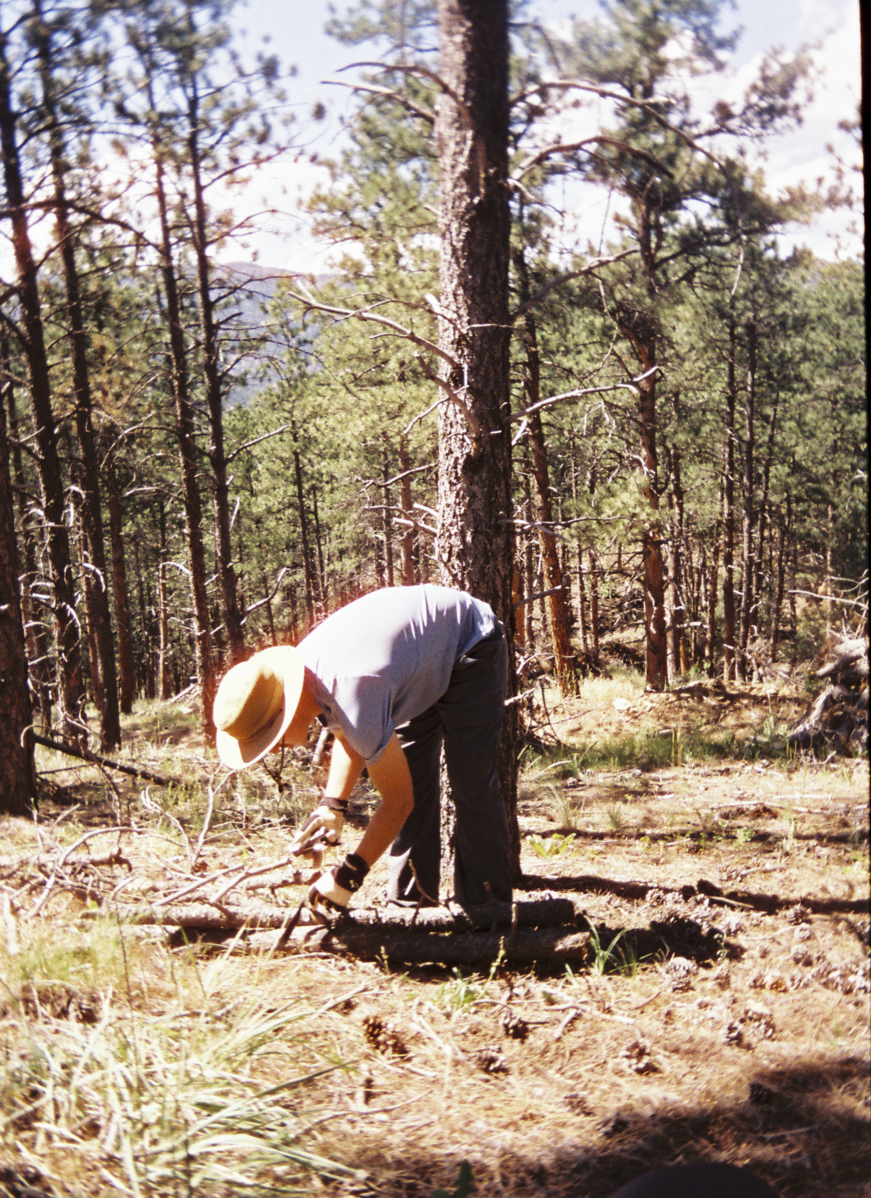 torikarch004737-R1-E036.png