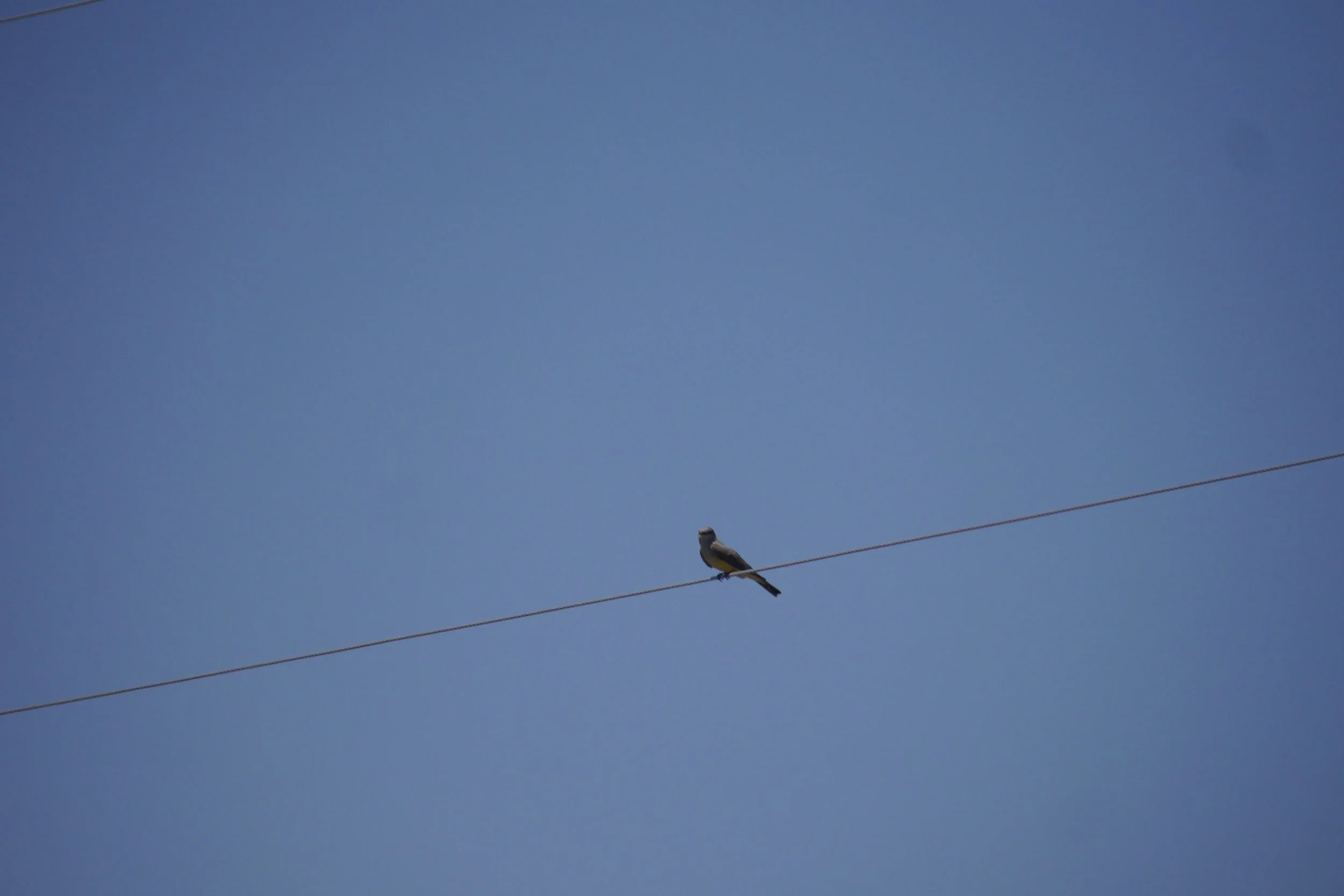 P2800535.JPG