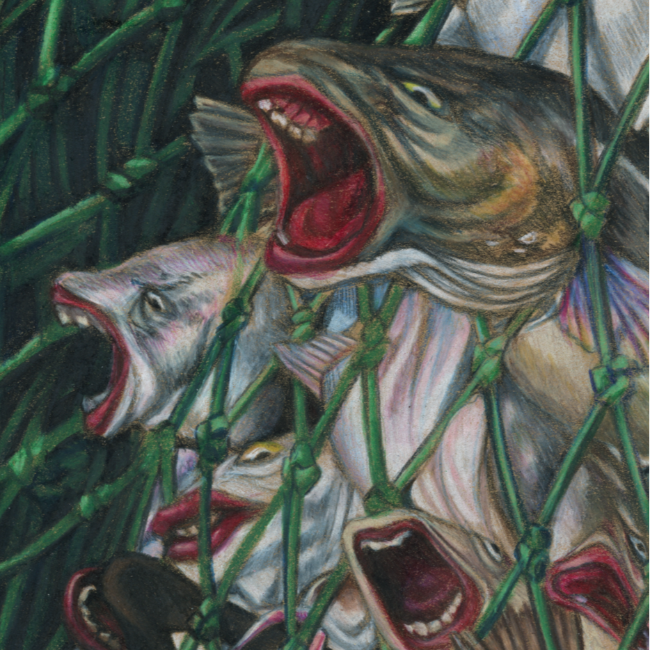 If Fish Could Scream
