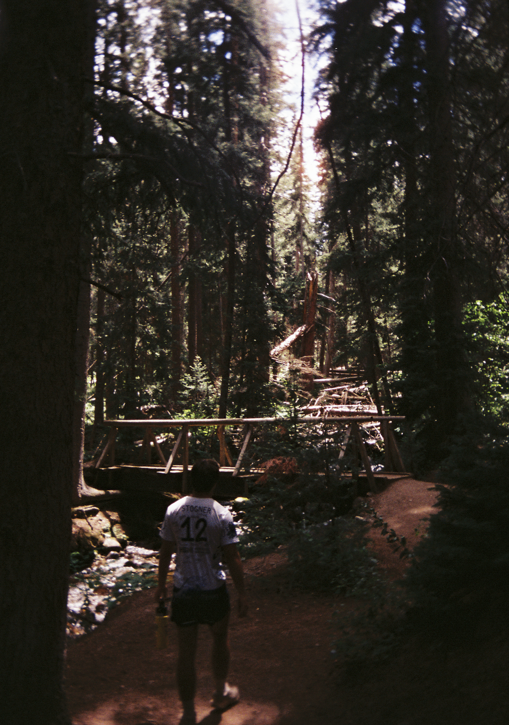 torikarch004737-R1-E022.png
