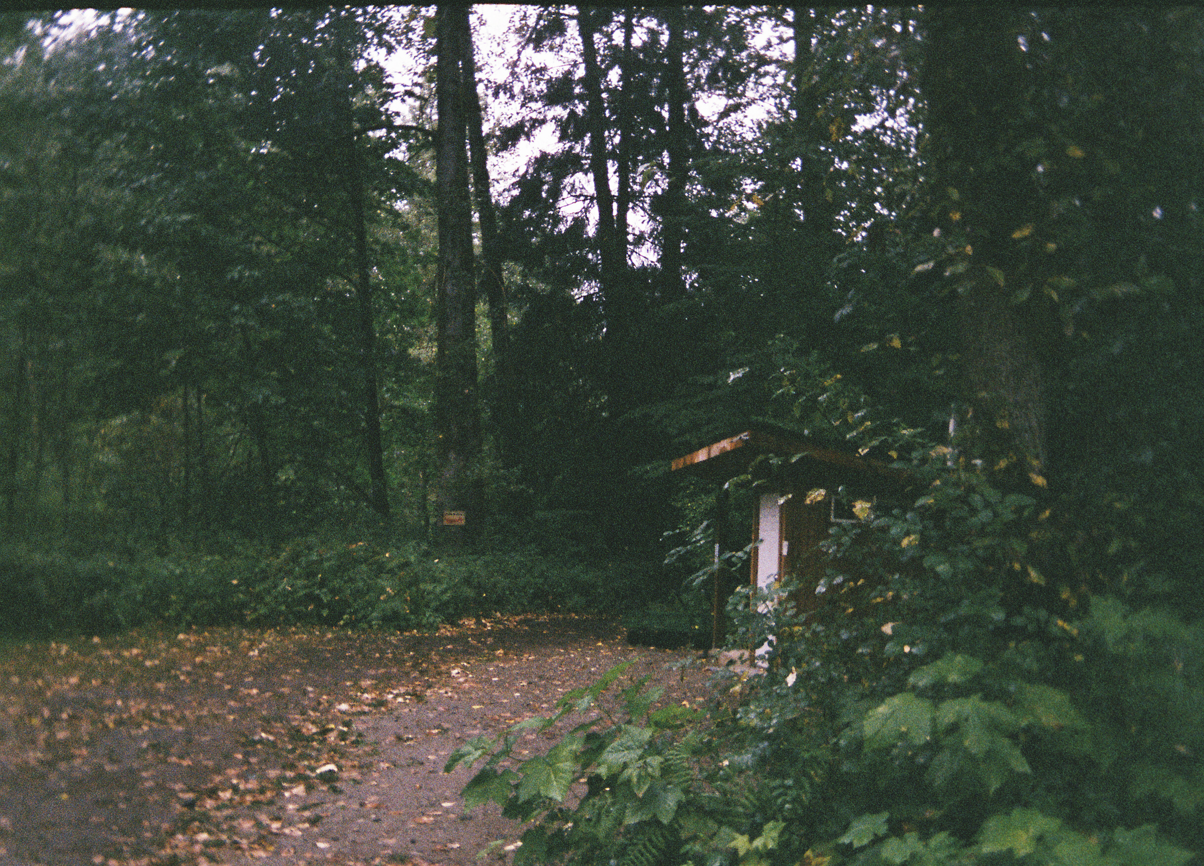 torikarch004737-R1-E011.png