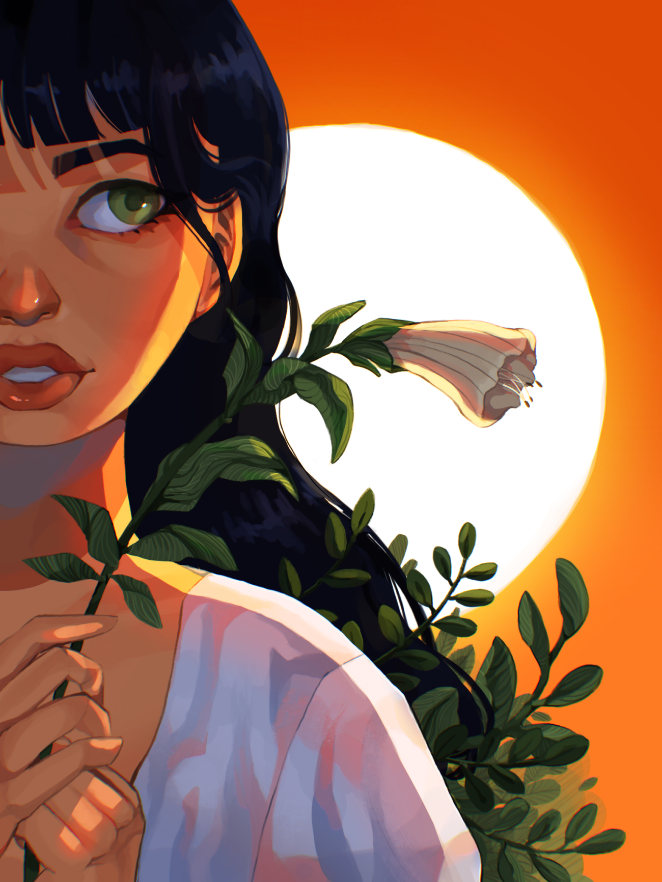 21.8.1 Evening Sun compressed.png