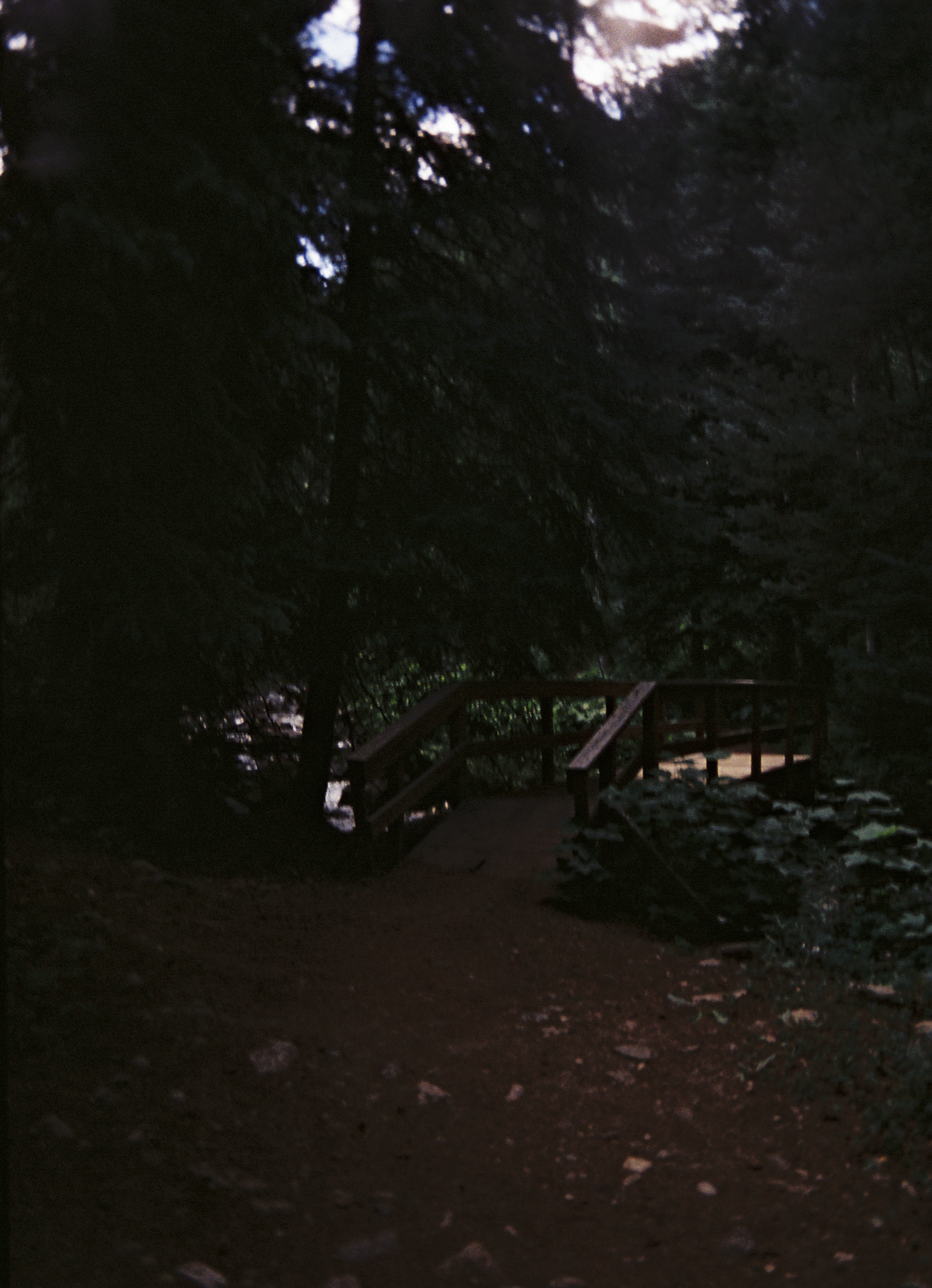 torikarch004737-R1-E023-2.png