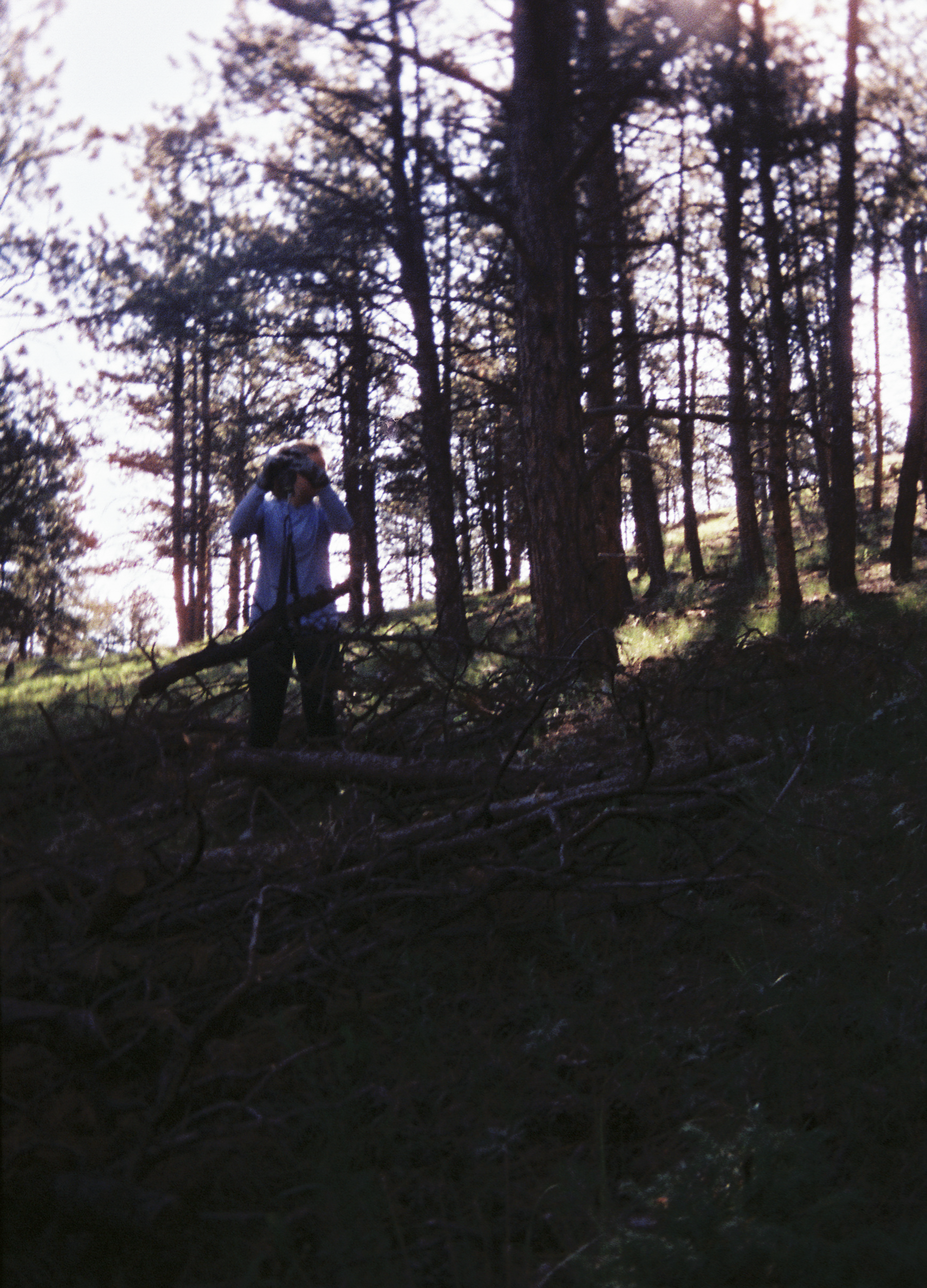 torikarch004737-R1-E039-2.png