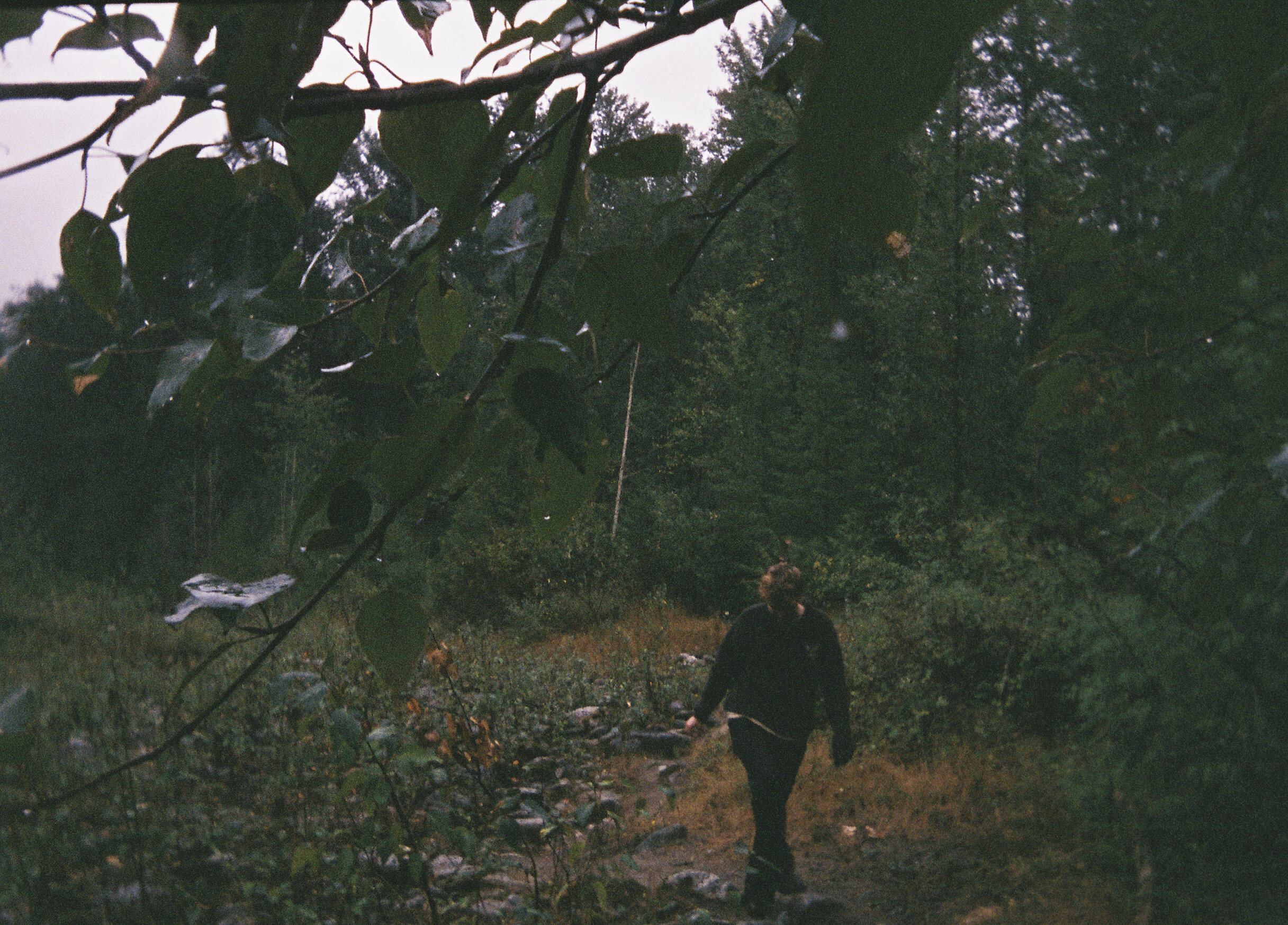torikarch004737-R1-E010.png
