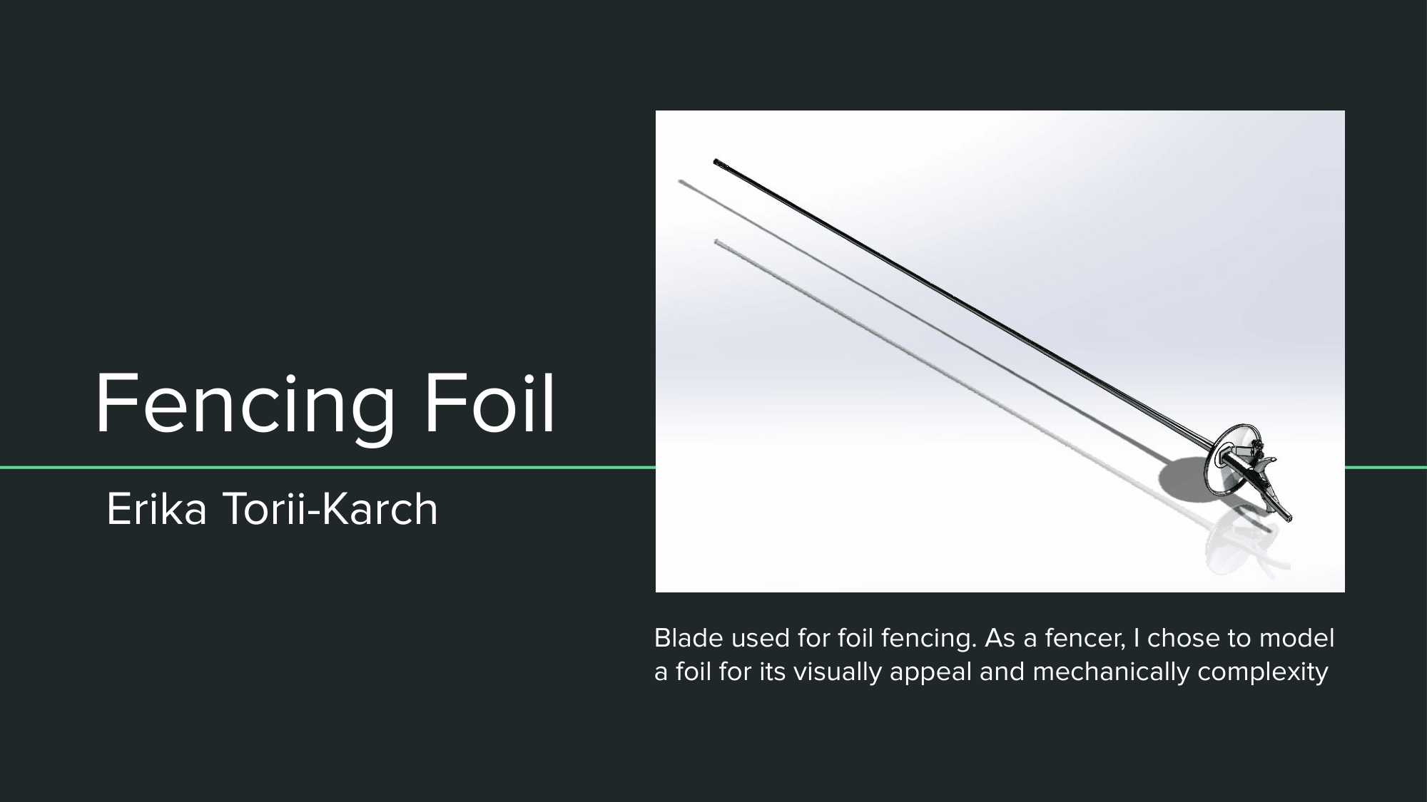 Torii-Karch Individual Project Presentation-1.png